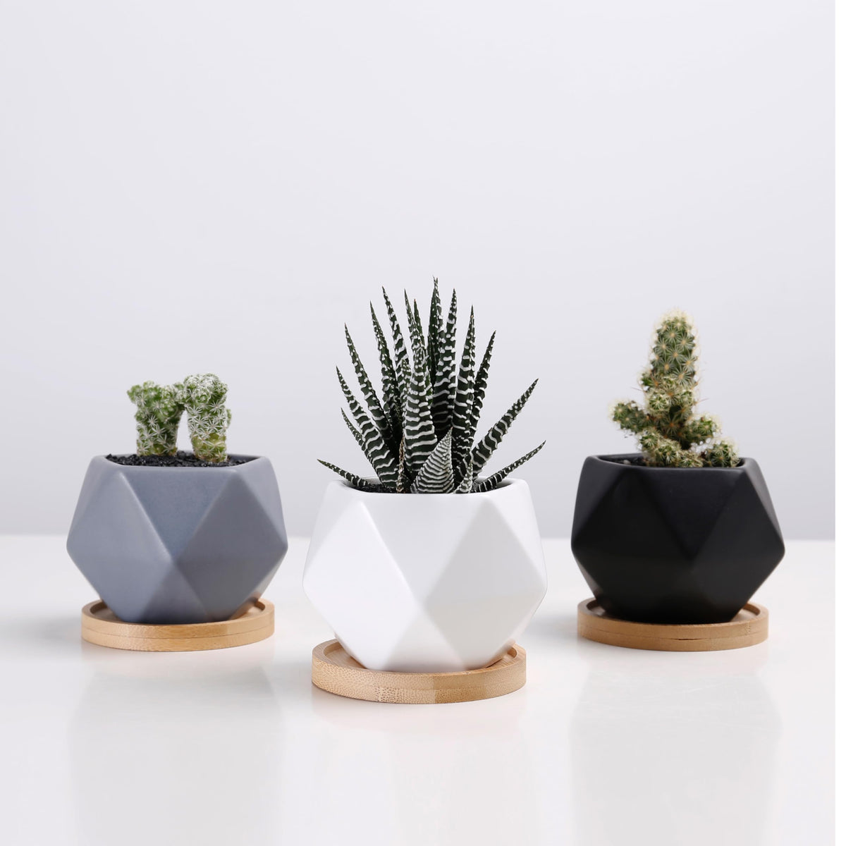 Chez JuJu Modern Geometric Ceramic Succulent Pots 3" Planters with Drainage | Bamboo Tray | 3 Pack