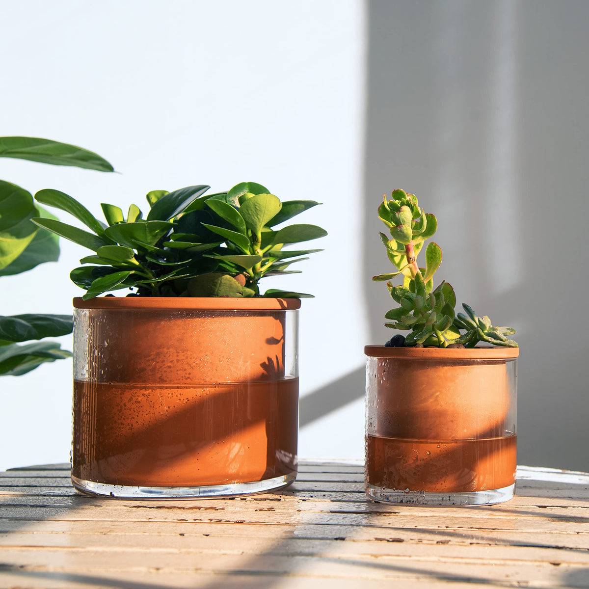 Phoenix Vine 4 Inch Self Watering Plants Pot, Design Terracotta Pot for Plants, Indoor Cylinder Terra Cotta Planter with Glass Vase, Set of 4, 51-A-E-4