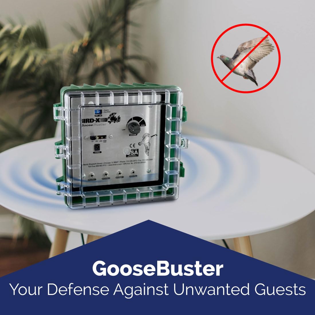 Bird-X GooseBuster, Sonic Goose Decoy Device with 4 Speakers, Uses Naturally-Recorded Sounds, Easy to Install, Covers up to 7 Acres, 500–1500 Hz Frequency