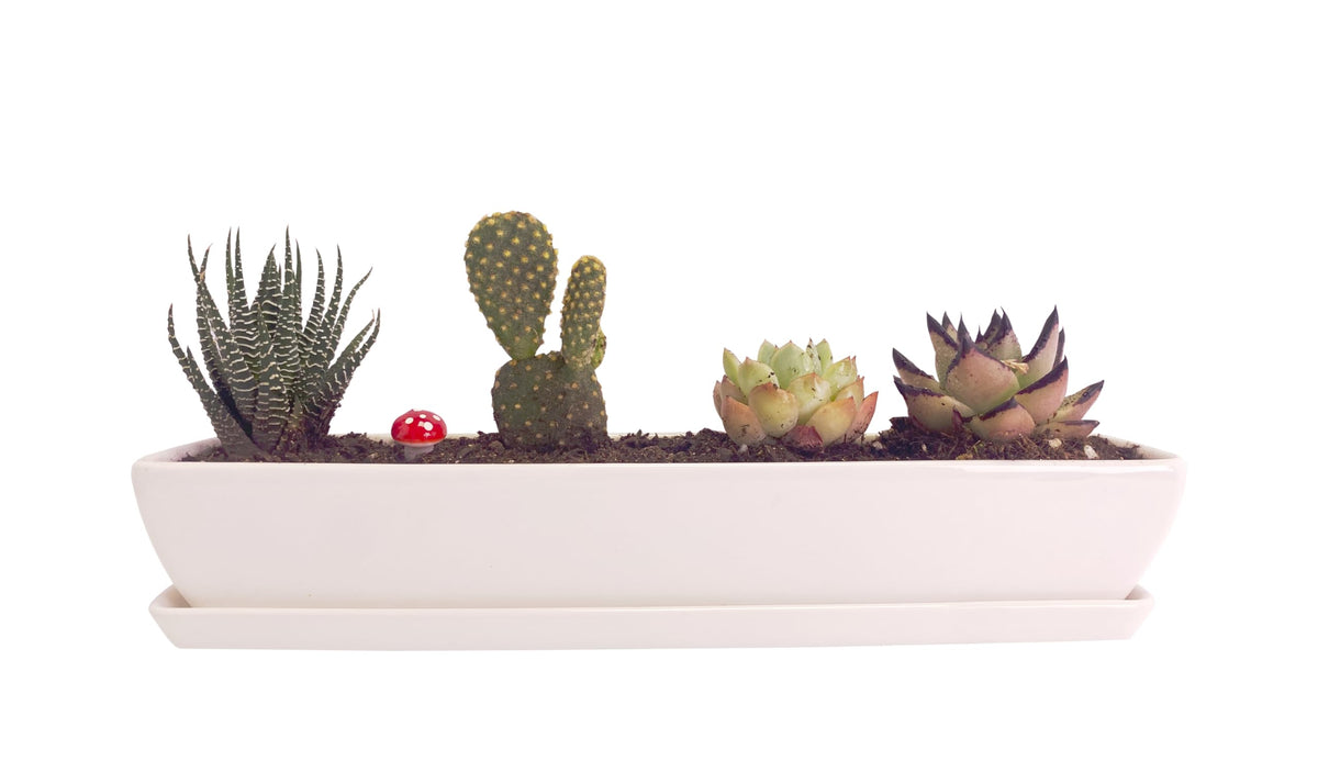 Kipokalor Long Rectangular Modern Succulent Planter Pot, 2 Set of 11.1x2.36x1.77inch Minimalist White Ceramic Succulent Planter Pot with Ceramic Saucer for Office,Desk,Window.