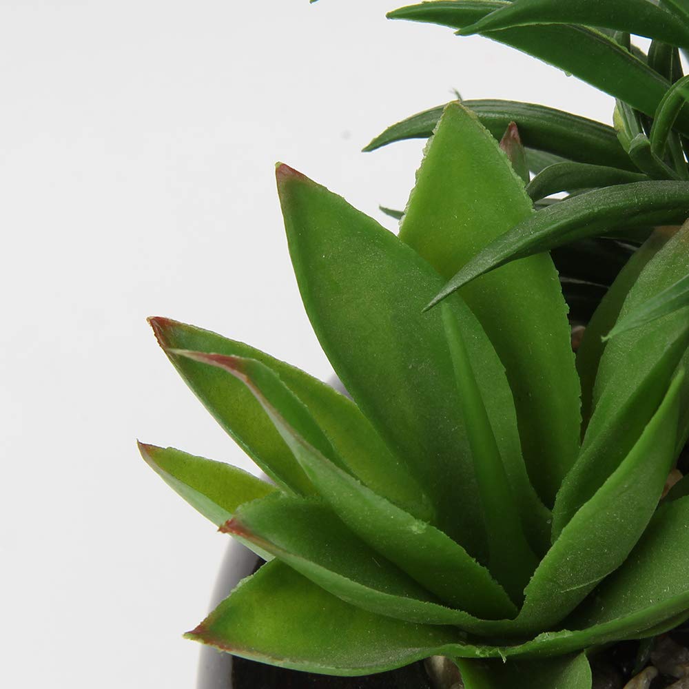Hollyone Large Artificial Succulents Plants Faux Succulents in Pots Fake Succulent Potted Plants with Black Ceramic Pot for Home Decor Office Desk Bathroom Living Room Indoor & Outdoor Decorations