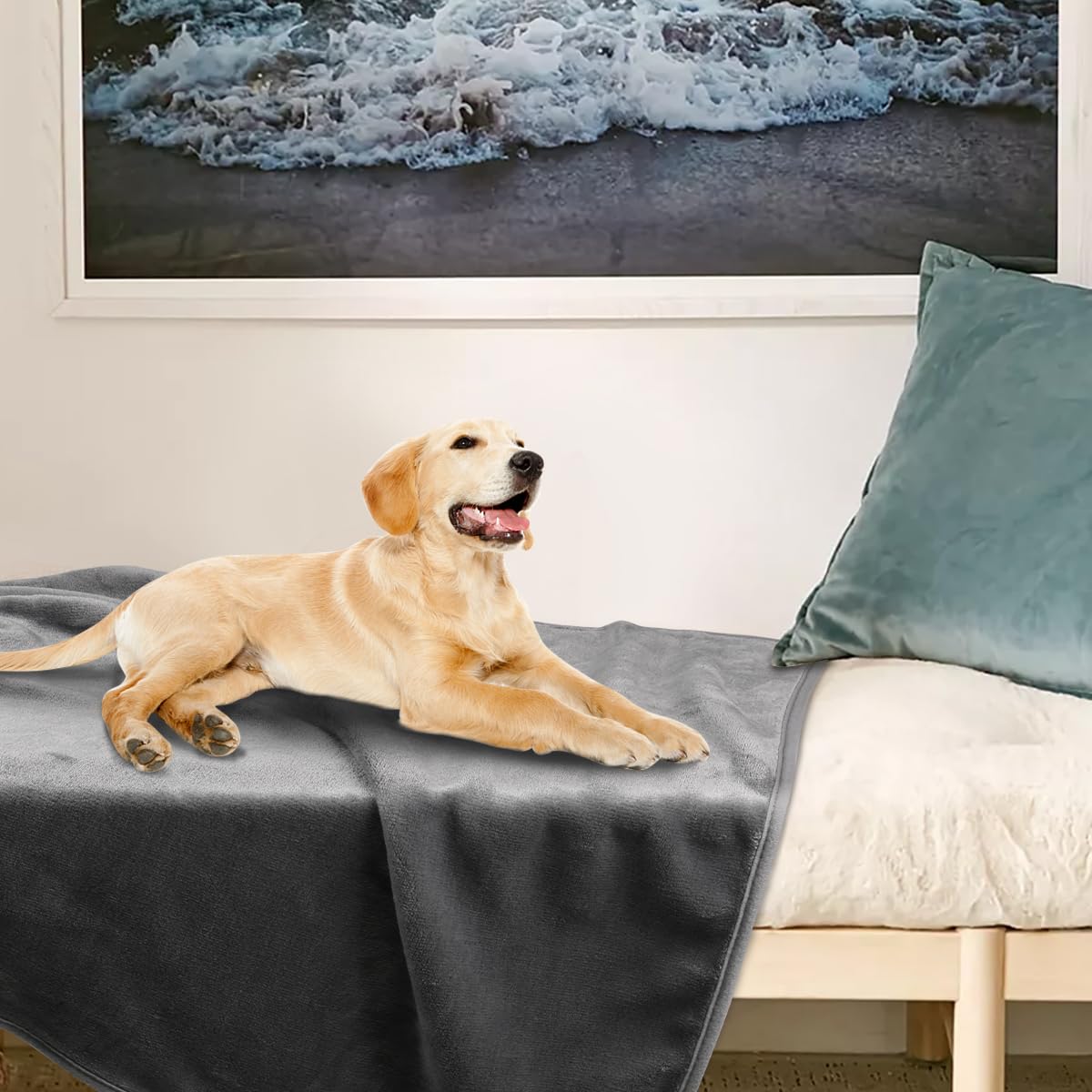 Onarway Dog Blanket Washable for Puppy: 4 Packs Dog Blankets 40”x28” - Fluffy Soft Small Throw for Cat Puppy Kitten Dogs - Fleece Pet Blankets for Bed Sofa Car and Indoor - Grey and Khaki