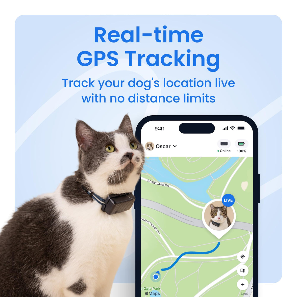 Tractive Smart Cat GPS Tracker with Free 6 Month Subscription | Real-Time Location & Wellness Monitoring for Cats 6.5 lbs+ | Territory & Location History | Up to 5-Day Battery (Brown)