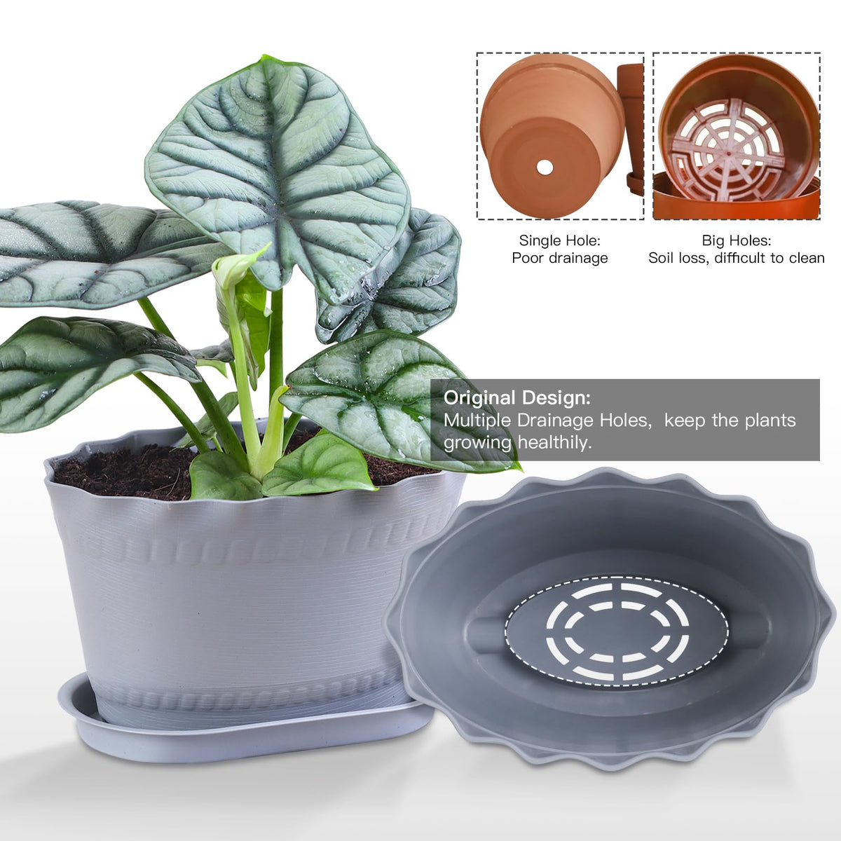 Oliz Herb Planter Pots 6 Pcs, Window Box Planter Flower Plants Pots for Succulent Cactus Flower with Trays, for Home Garden Kitchen Decor (Grey)