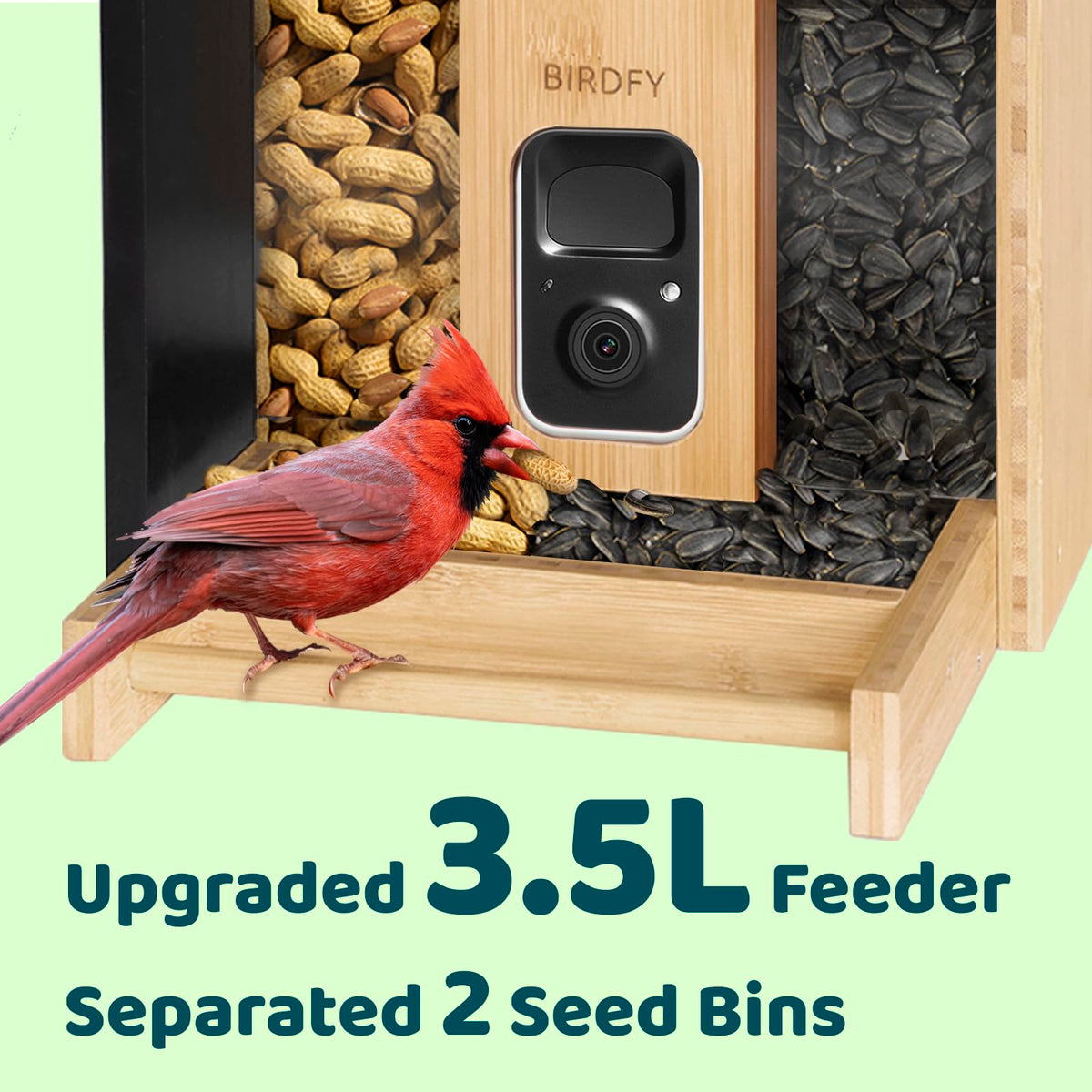 NETVUE by Birdfy Smart Bird Feeder with Camera Solar Powered 2K Live Steam&AI Bird Species Identification&Motion Detection,Birds Watching Wood Feeder for Chistmas Gift for mom,Children and Myself