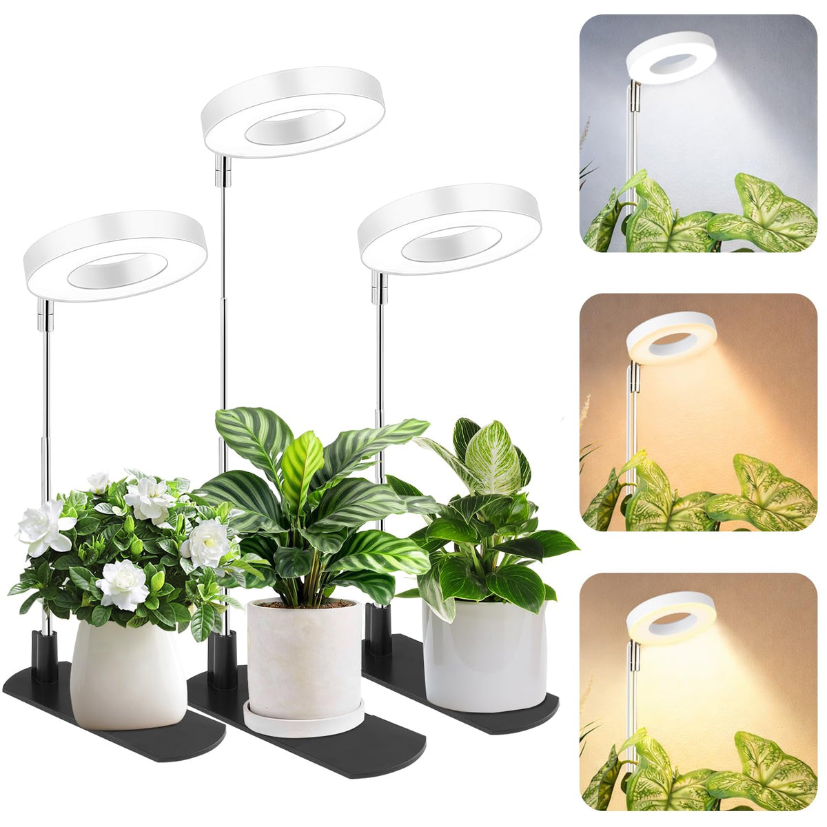 LBW Grow Light for Indoor Plants, Height Adjustable Plant Grow Lamp with Auto On/Off Timer 6/8/12/16H, 3 Colors,5 Dimmable Brightness, for Small Plants, White, 3 Packs