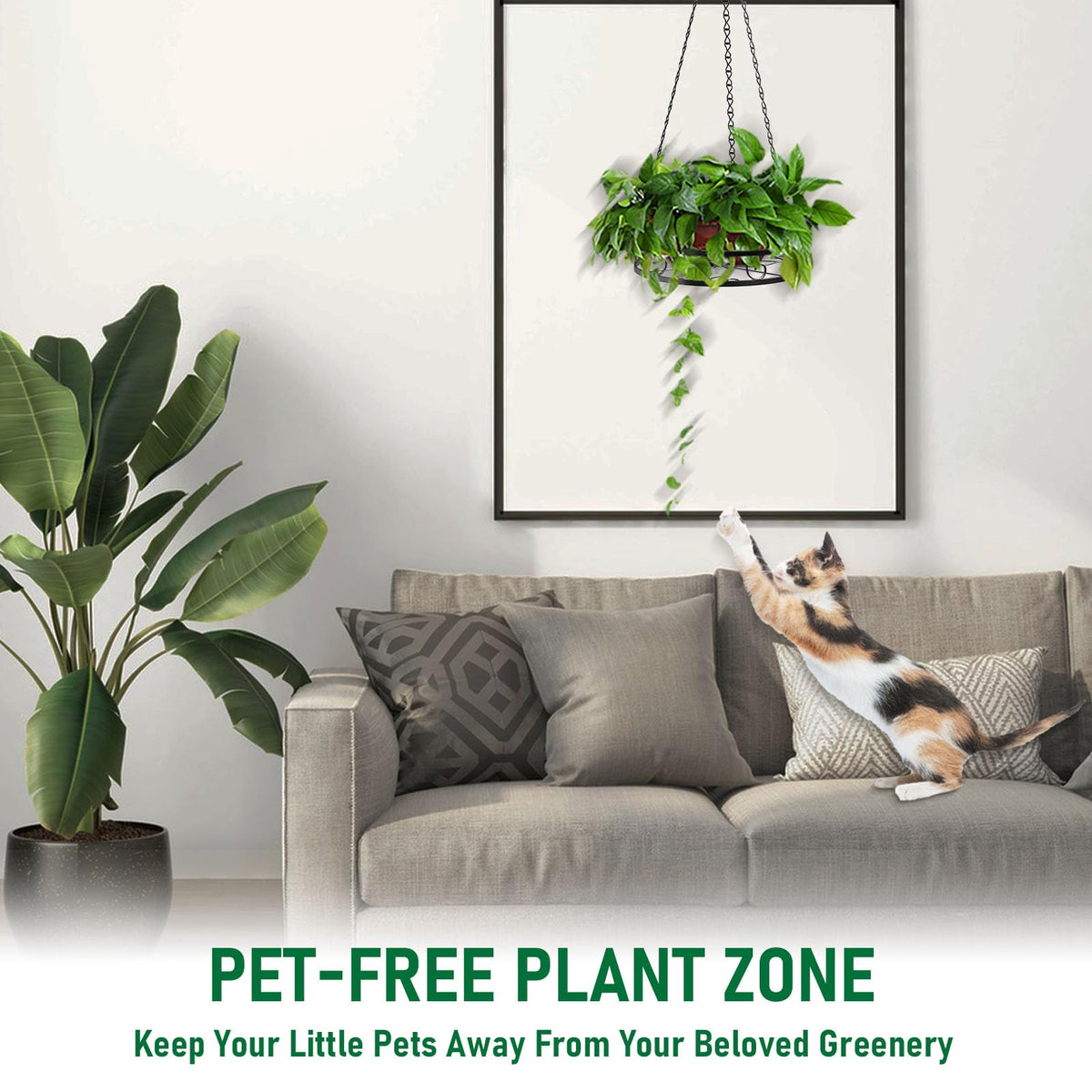 Qiaomeiysp 2-Pack Hanging Planters for Indoor Plants - Heavy Duty Metal Plant Hanger Indoor with 3 Chains and Hooks – Aesthetic Hanging Plant Holder for an Instant Gardening Decor