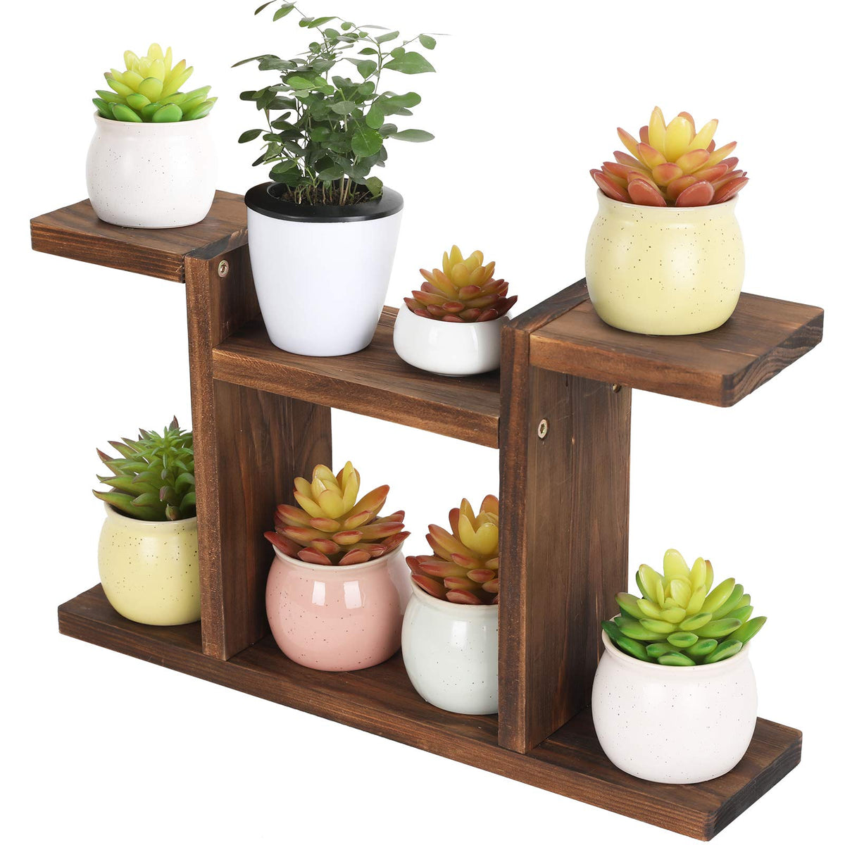 COOGOU Wood Desktop Plant Stand Indoor - Windowsill Plant Shelf Small Tabletop Plant Holder, Flower Display Rack for Succulent Herb in Living Room Office 6 Tiers