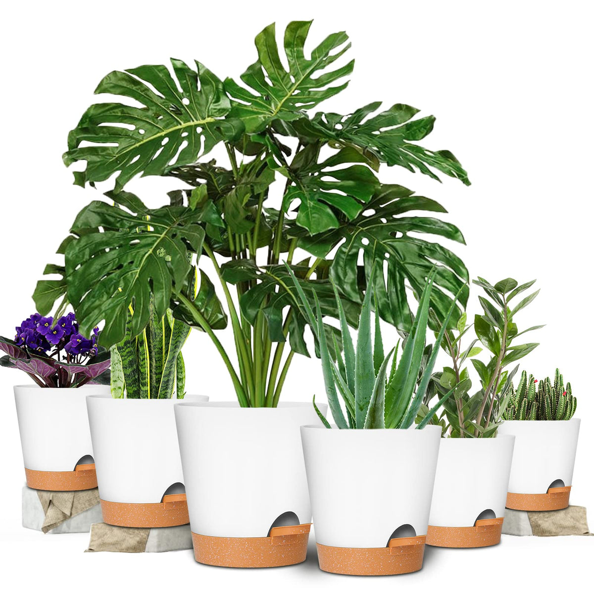 GARDIFE Plant Pots 8/7/6.5/6/5.5/5 Inch Self Watering Planters with Drainage Hole, Plastic Flower Pots, Nursery Planting Pot for All House Plants, African Violet, Flowers, and Cactus,White