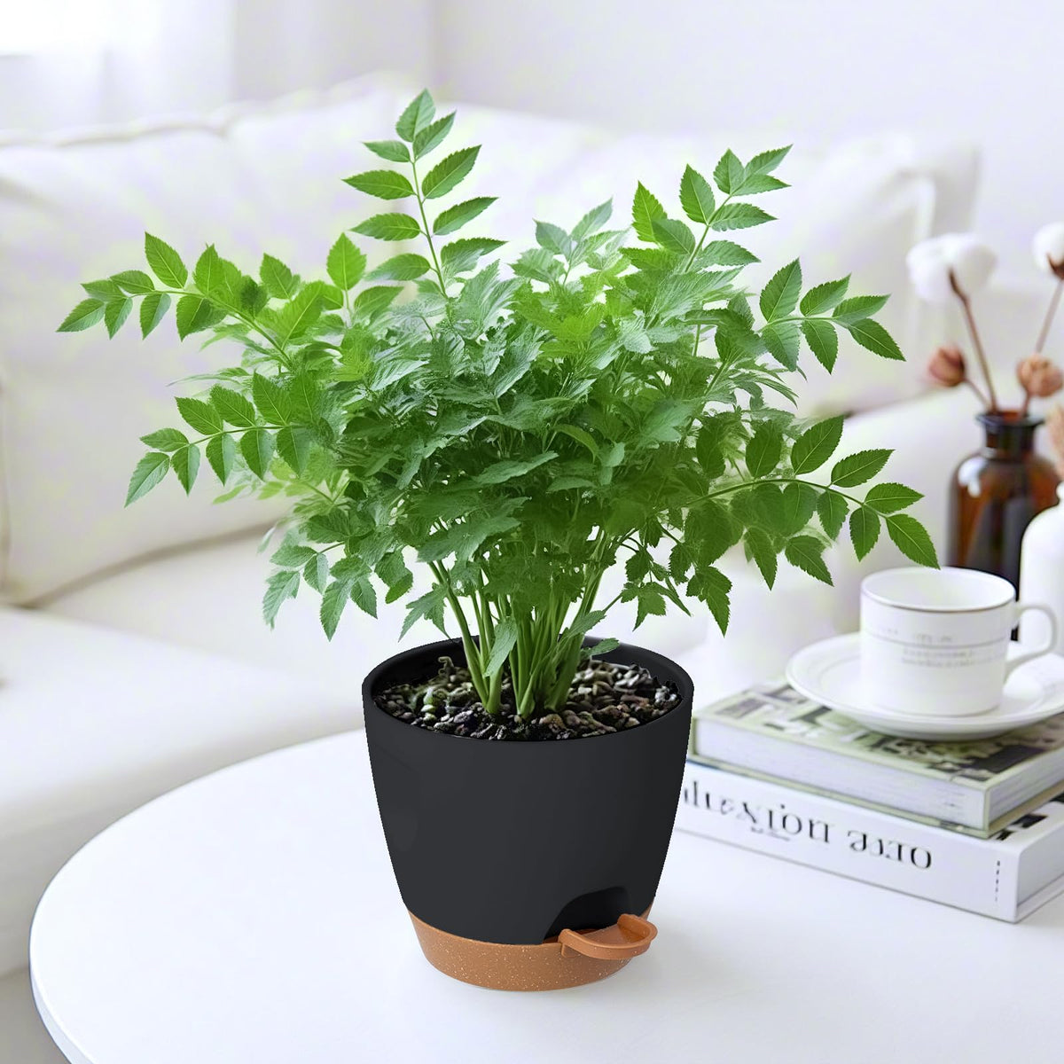 Carsapro 5-Pack Plant Pots with Drainage 7/6.5/6/5.5/5 Inch, Self Watering Pots for Indoor Plants, Planters for Indoor Outdoor Plants, Plastic Flower Pot, Planter for Indoor Outdoor (Black)