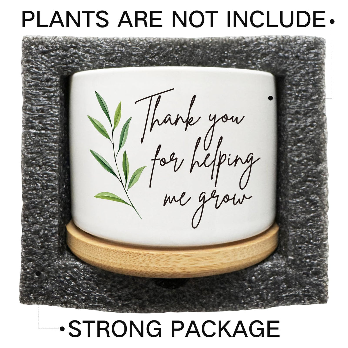 Arosedmo Thank You for Helping Me Grow Succulent Cactus Planter Pots with Bamboo Tray, Office Kitchen Home Windowsill Indoor Tabletop Decor, Gift for Friends Mom Teachers Plant Lovers
