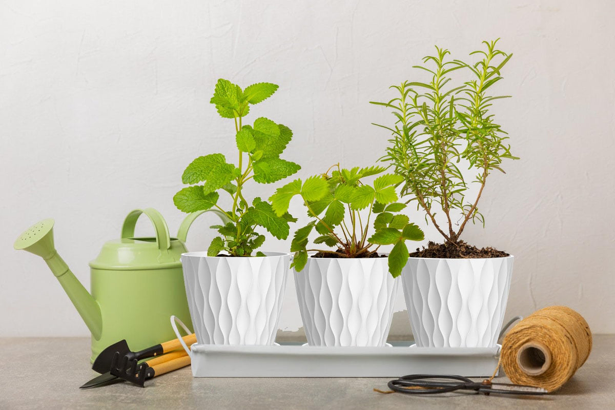 SQKH 4 Inch Plant Pots, 6 Pack Indoor Flower Pots, Planters with Drainage Holes and Trays for Orchids, Violets, Succulents, Herbs, and Other Plants,White