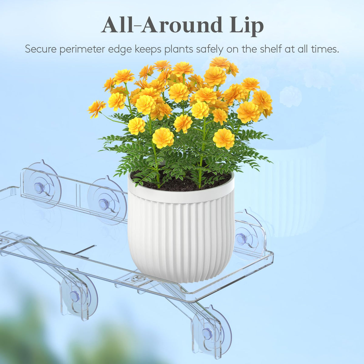 Lifewit 6" Extra Wide & Strong Window Plant Floating Shelves 2 Pack, Heavy Duty Acrylic Suction Cup Shelf, Sill Extender for Succulent Plants, Seed Starter Pots, Herb Planters 38 x 15 cm/15.2x6
