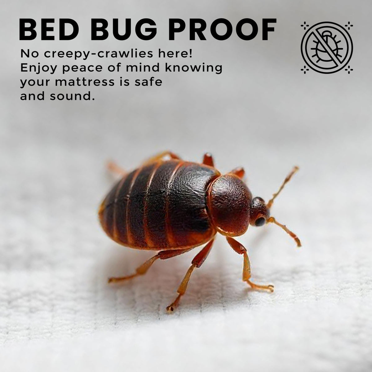 Utopia Bedding Premium Zippered Mattress Encasement (Fits 12 Inches Mattress, Twin) - Waterproof and Bed Bug Proof Mattress Protector - Six-Sided Mattress Cover (Pack of 2)