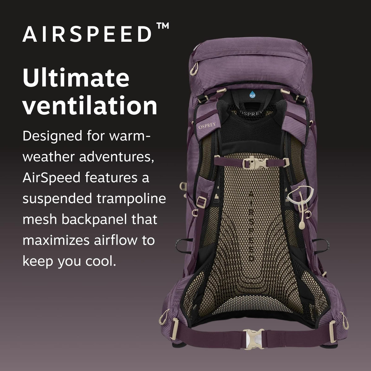 Osprey Sirrus 24L Women's Hiking Backpack - Adjustable Daypack with Waterproof Raincover & Bottle Pockets, Medium Grey