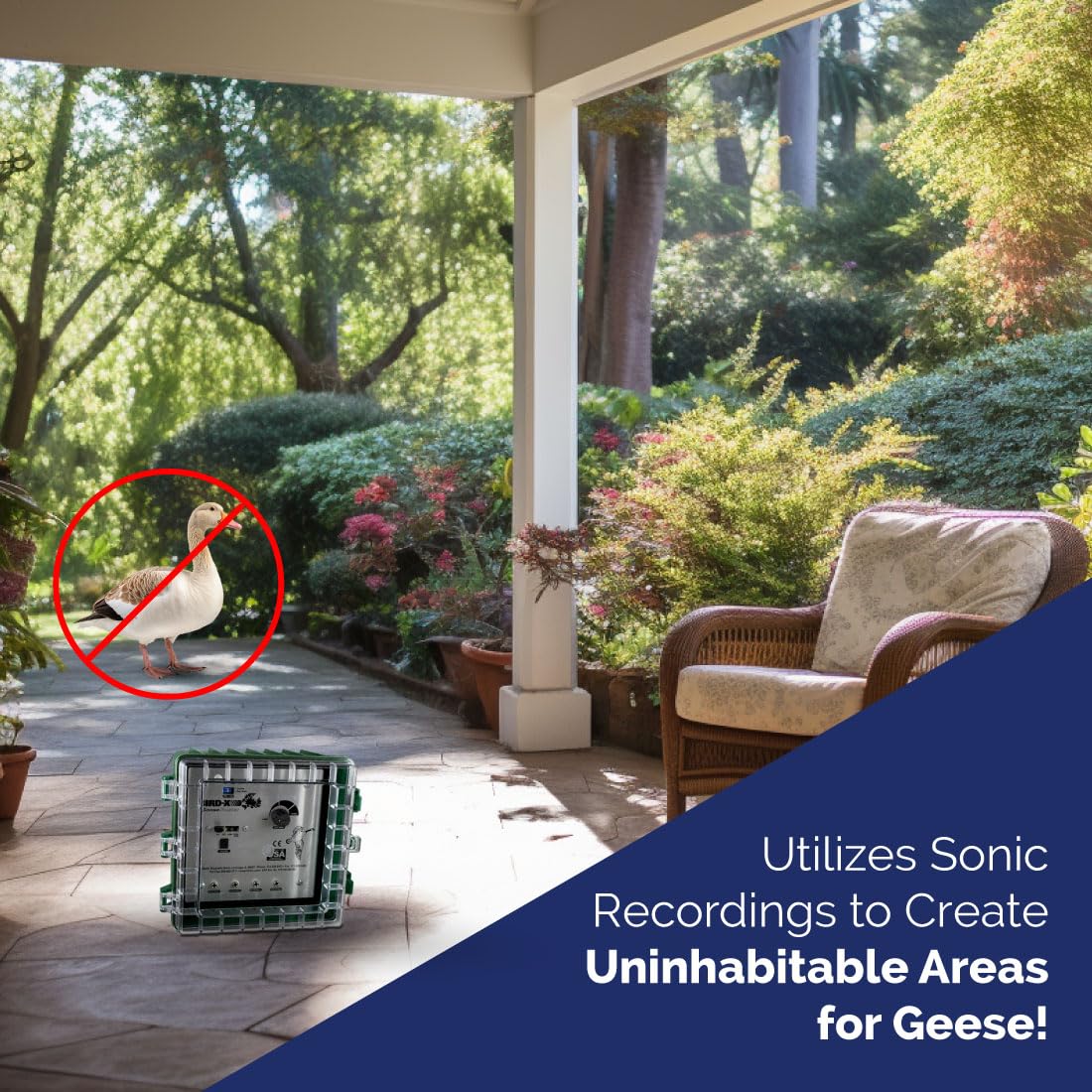Bird-X GooseBuster, Sonic Goose Decoy Device with 4 Speakers, Uses Naturally-Recorded Sounds, Easy to Install, Covers up to 7 Acres, 500–1500 Hz Frequency