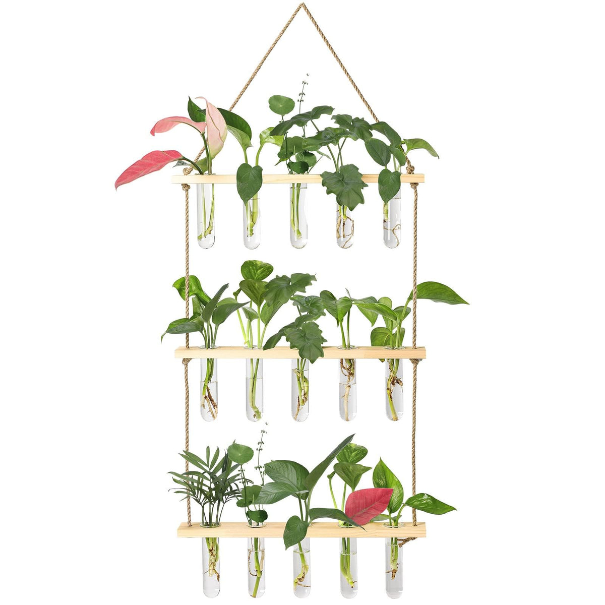 XXXFLOWER Wall Hanging Propagation Station with Wooden Stand 5 Glass Test Tubes 3 Tiers Planters Wall Terrarium for Home Office Plant Hanger Flower Vases Wall Decor Hydroponic Cuttings