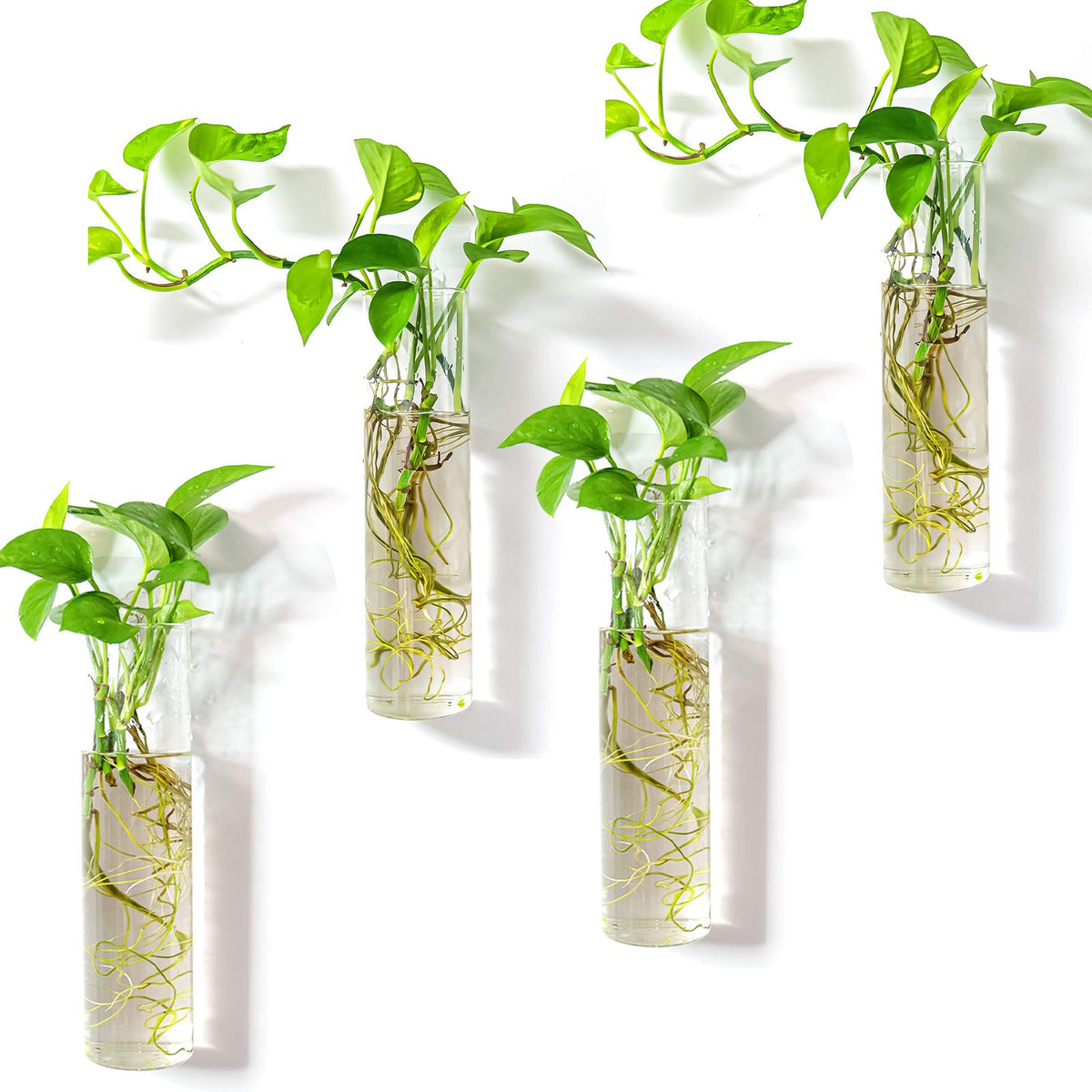 Kingbuy Wall-Mounted Plant Terrarium Propagation Station - 4 Cylinder Hanging Glass Tubes Planter for Hydroponic Plants, Indoor Wall Vases & Decorative Plant Holder Bathroom Office Living Room Decor
