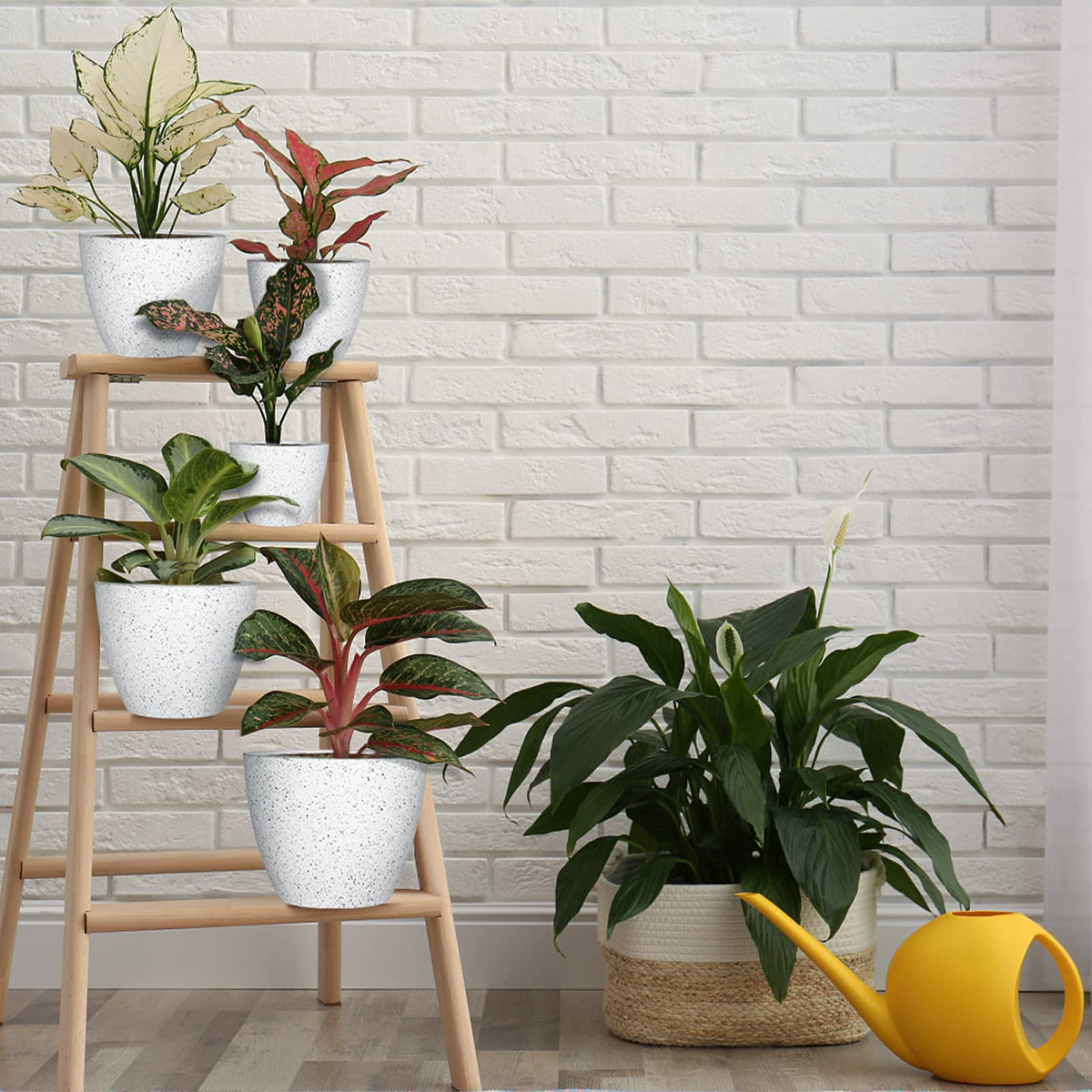 lokeisna 5 Pcs Plant pots, 7.5/6.5/5.7/4.9/4.1 inch Pots for Plants, Flower Pot Indoor Modern Decorative Plant Pot, Plant Pots Indoor with Drainage and Saucer for All House Plants, Spray Spots
