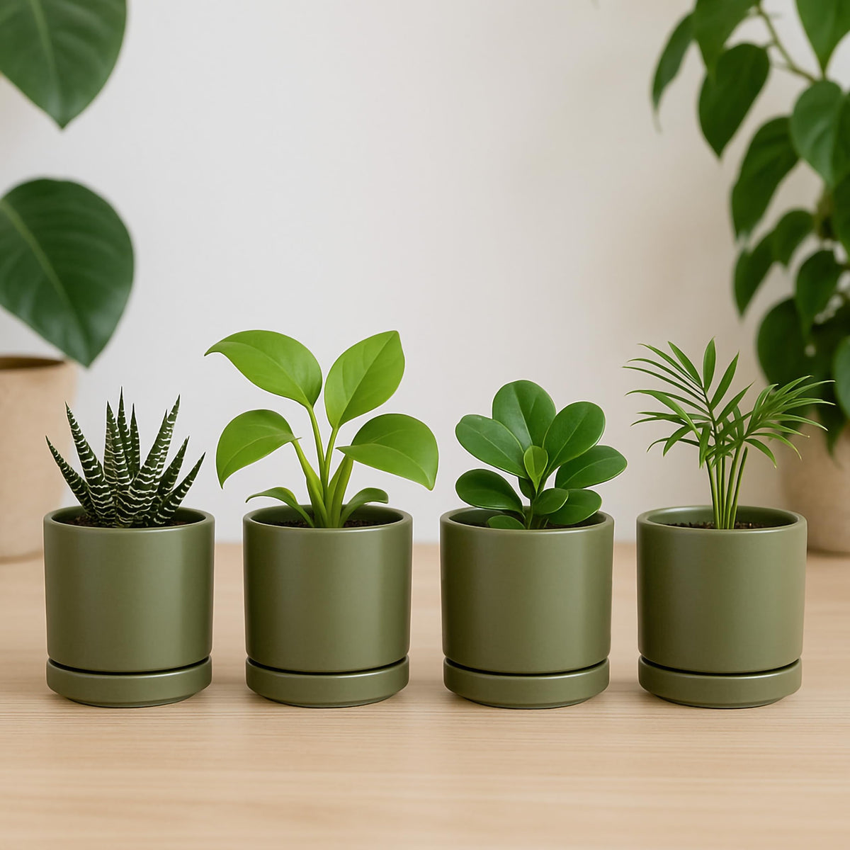 D'vine Dev Set of 4 Small Ceramic Plant Pots, 3.5 Inch Succulent Planter Pot for Plants with Drainage Hole and Saucer, Olive, 94-X-A-0