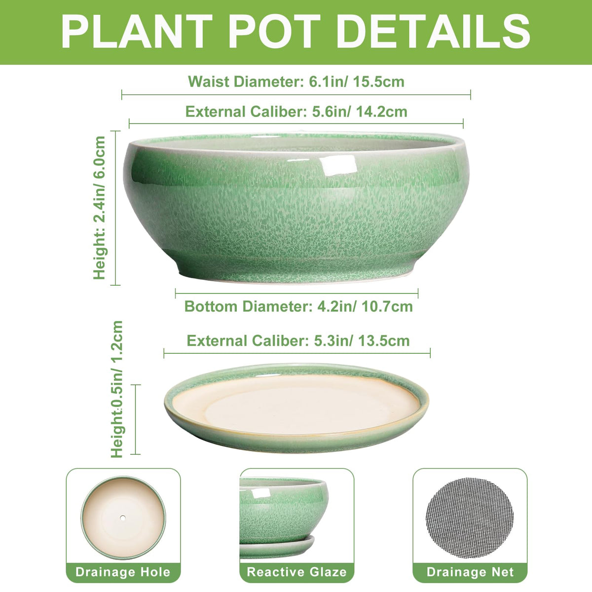 SQOWL Succulent Pots 6 Inch - Ceramic Bonsai Planter for Indoor Plants Outdoor, Shallow Planter with Drainage Hole and Tray, Round Planters for Cactus Flower, Office Decor, Gardening Gifts, Green