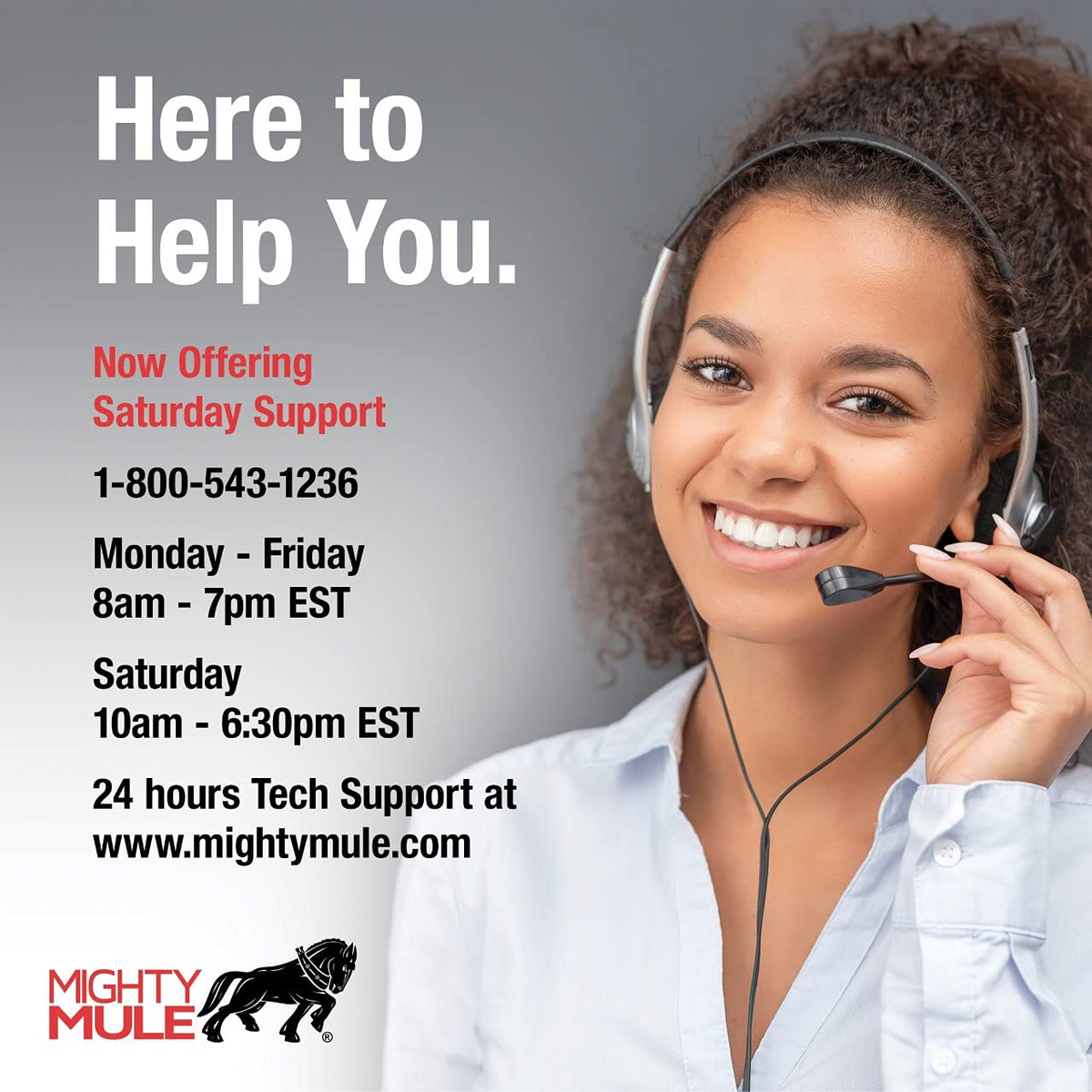 Mighty Mule MMS100 100 Wireless Connectivity System, BLACK