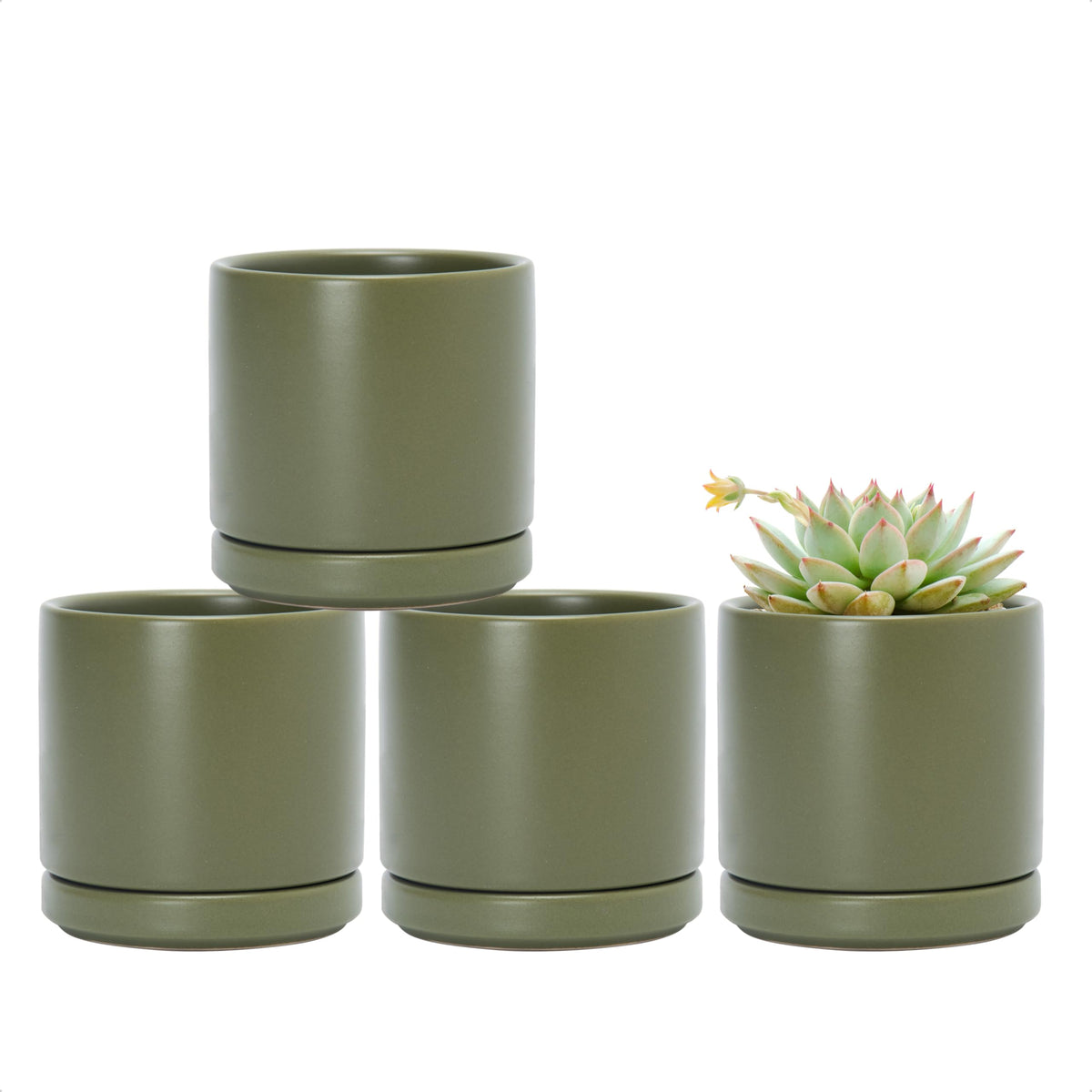 D'vine Dev Set of 4 Small Ceramic Plant Pots, 3.5 Inch Succulent Planter Pot for Plants with Drainage Hole and Saucer, Olive, 94-X-A-0