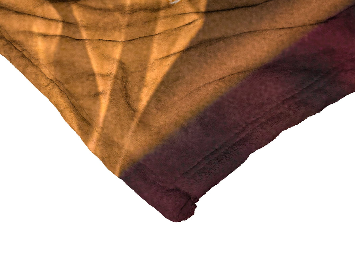 Northwest Annabelle Silk Touch Throw Blanket, 50" x 60", She Knows You're There