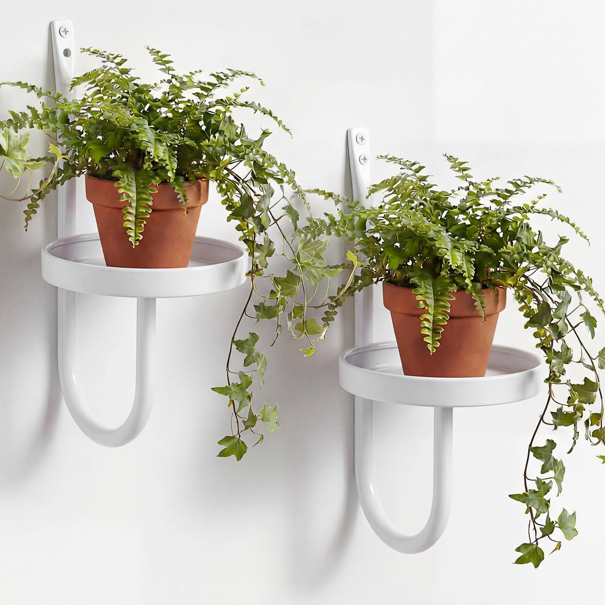 Otoolling 2 Pcs Hanging Planters for Indoor Plants Wall Plant Holder Plant Hanger Wall Planters Shelves Decor for Living Room Bathroom Window (White)