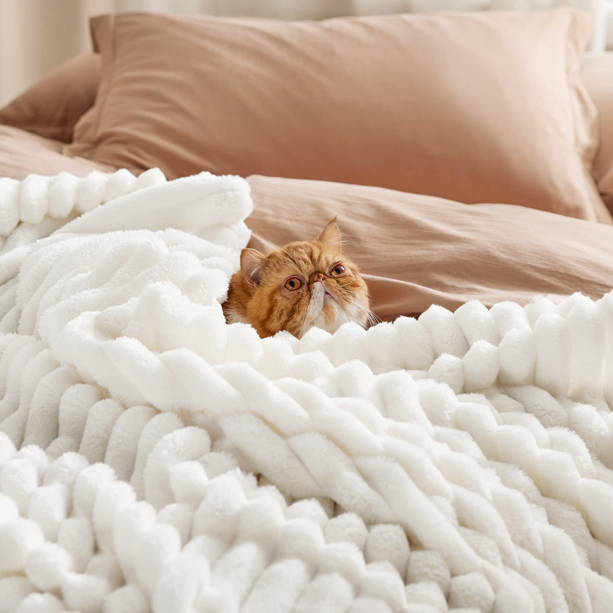 Bedsure Fleece Throw Blanket（White ＆ Beige）