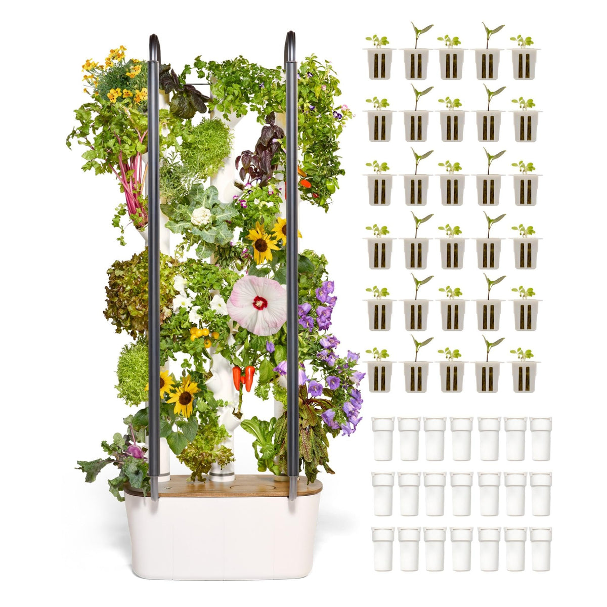 Gardyn Home 4 Vertical Hydroponics Growing System Kit - 30 Non-GMO Plants, Herbs, Vegetables - Smart Tower Garden Hydroponic Herb Garden Planter Indoor Kit - Indoor Gardening System w/LED Grow Lights