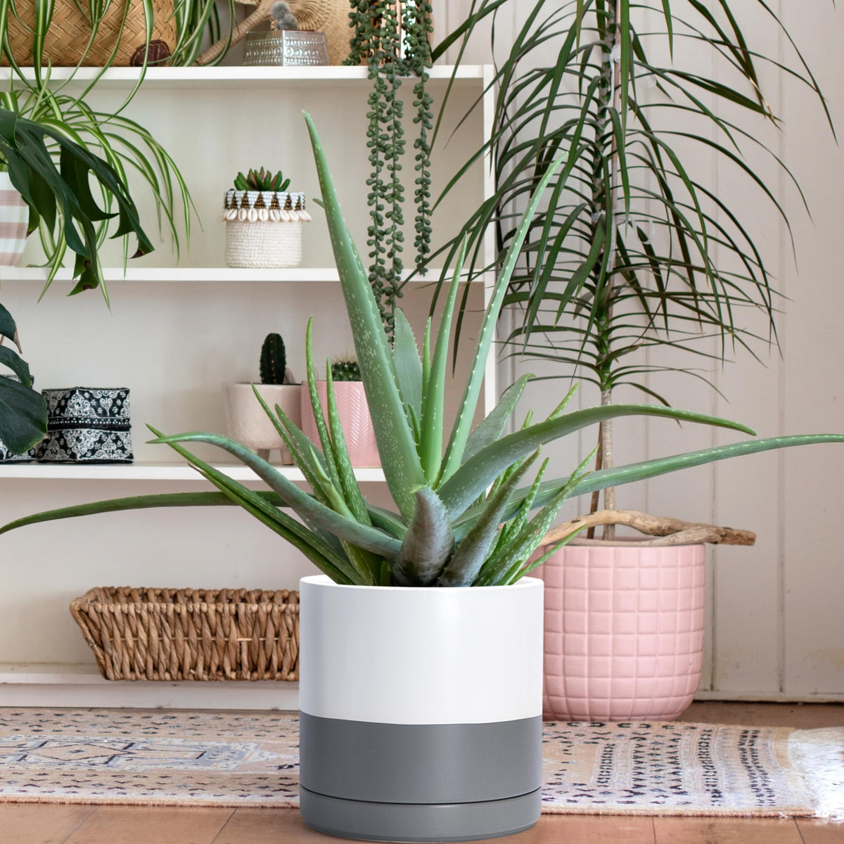 D'vine Dev 8.2 Inch & 10 Inch Ceramic Planter Pot for Plants with Drainage Hole and Saucer, Large Plant Pots Set, White/Speckled Grey, 94-G-L-6