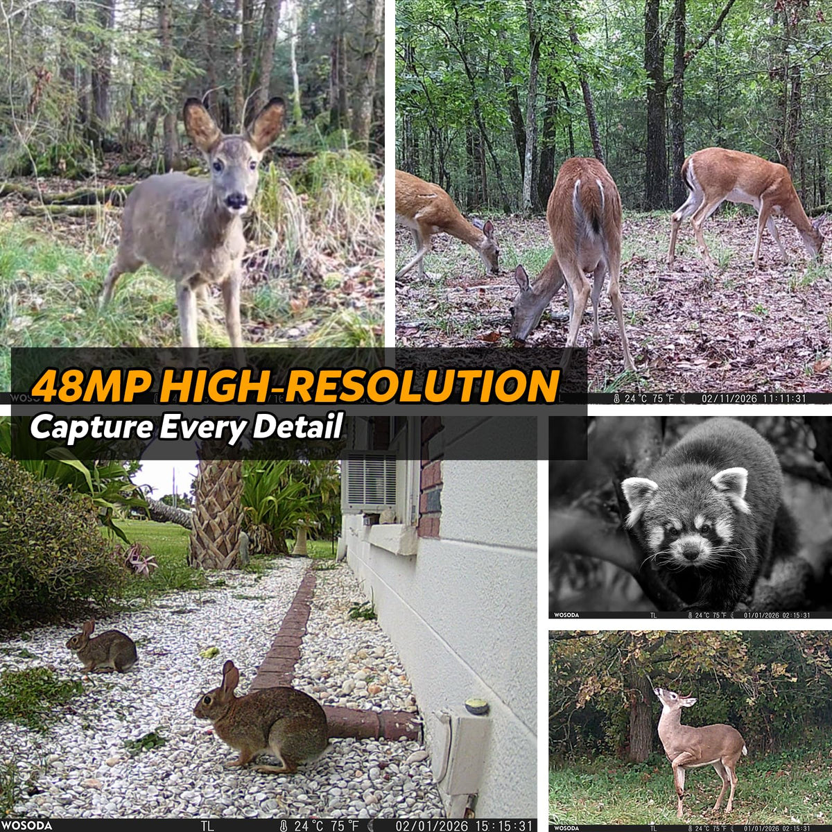 WOSODA ﻿3 Pack Trail Cameras, 48MP 4K No-Glow Night Vision Game Camera, Trail Cam with Motion Activated, IP66 Waterproof,2''LCD Screen,120° Wide Lens Wildlife Camera,Outdoor Scouting & Security