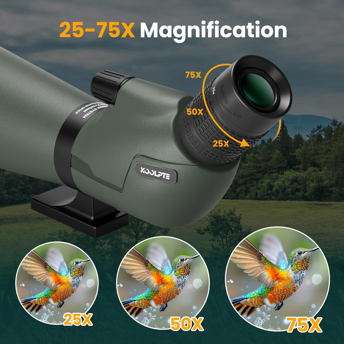 25-75x85 Spotting Scope with ED Glass, Phone Adapter, Tripod & Carrying Bag - Fully Multi-Coated BAK4 Waterproof Zoom Spotter Scope for Bird Watching, Wildlife Viewing, Hunting (Green)