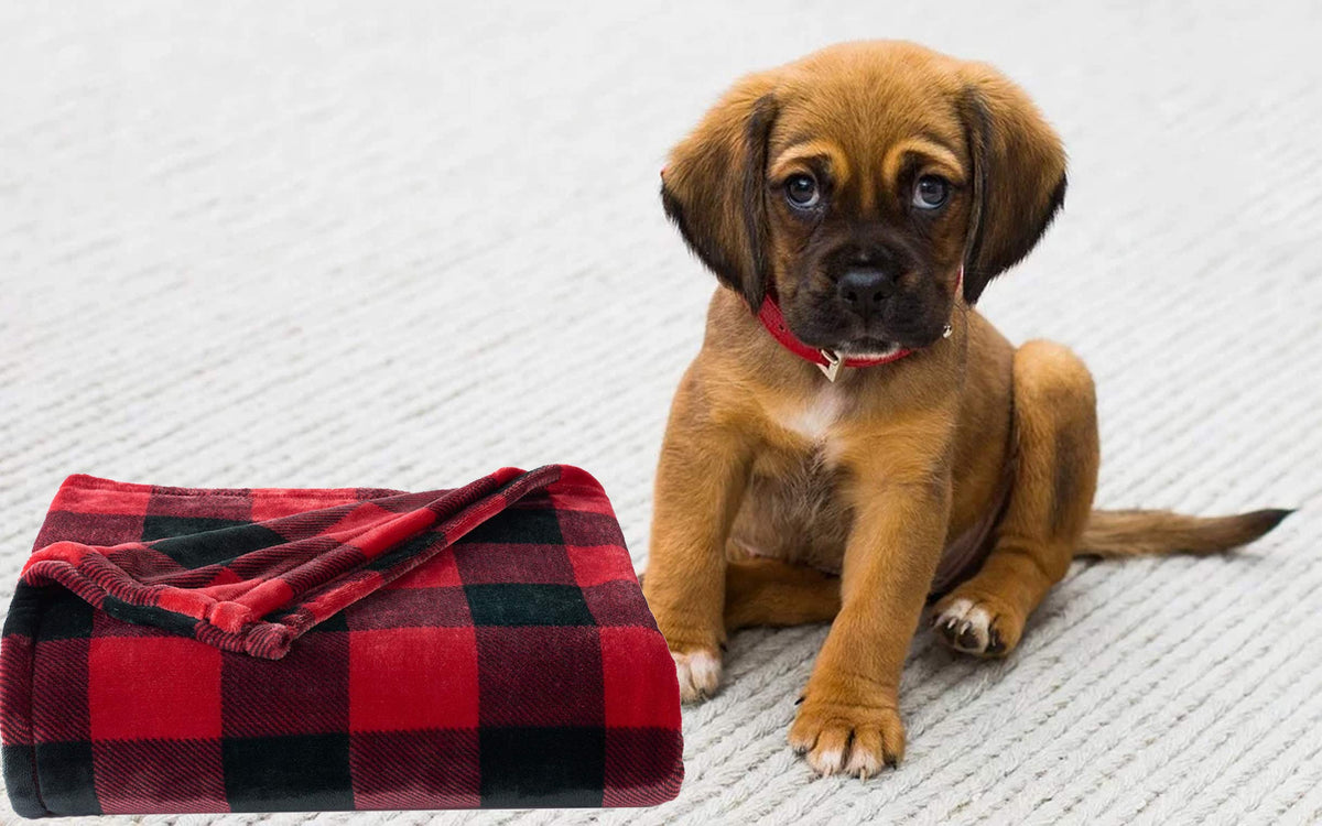 The Big One Throw Blanket Plush Super Soft Warm Cozy for Living Room 60 x 72 inches Oversized (Red Black Buffalo Plaid)