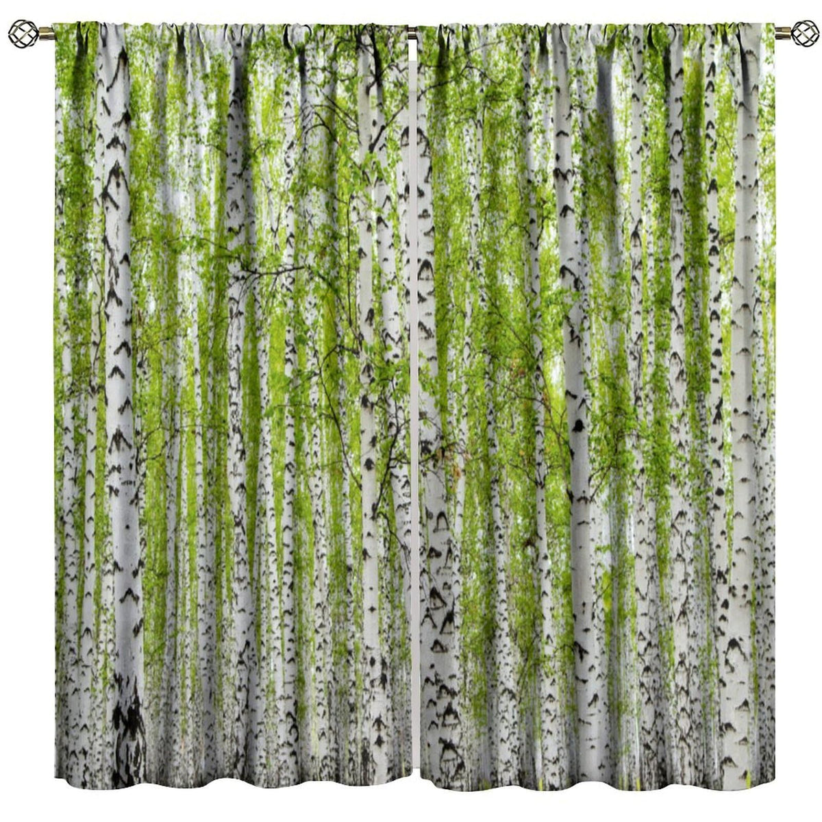 GoDazzling Rustic Farmhouse Birch Trees Curtains, Maple Leaves Forest Grove Wood Nature Spring Summer Scenery Window Drapes, for Living Room Bedroom 41" W X 45" L (No Blackout)