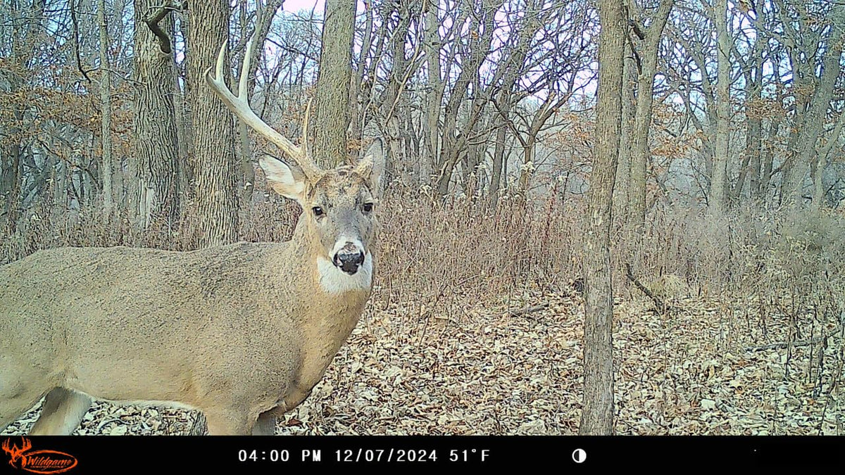 Wildgame Innovations WGI Insite-V 4-Pack Cellular Trail Camera 32 MP, 80ft Detection