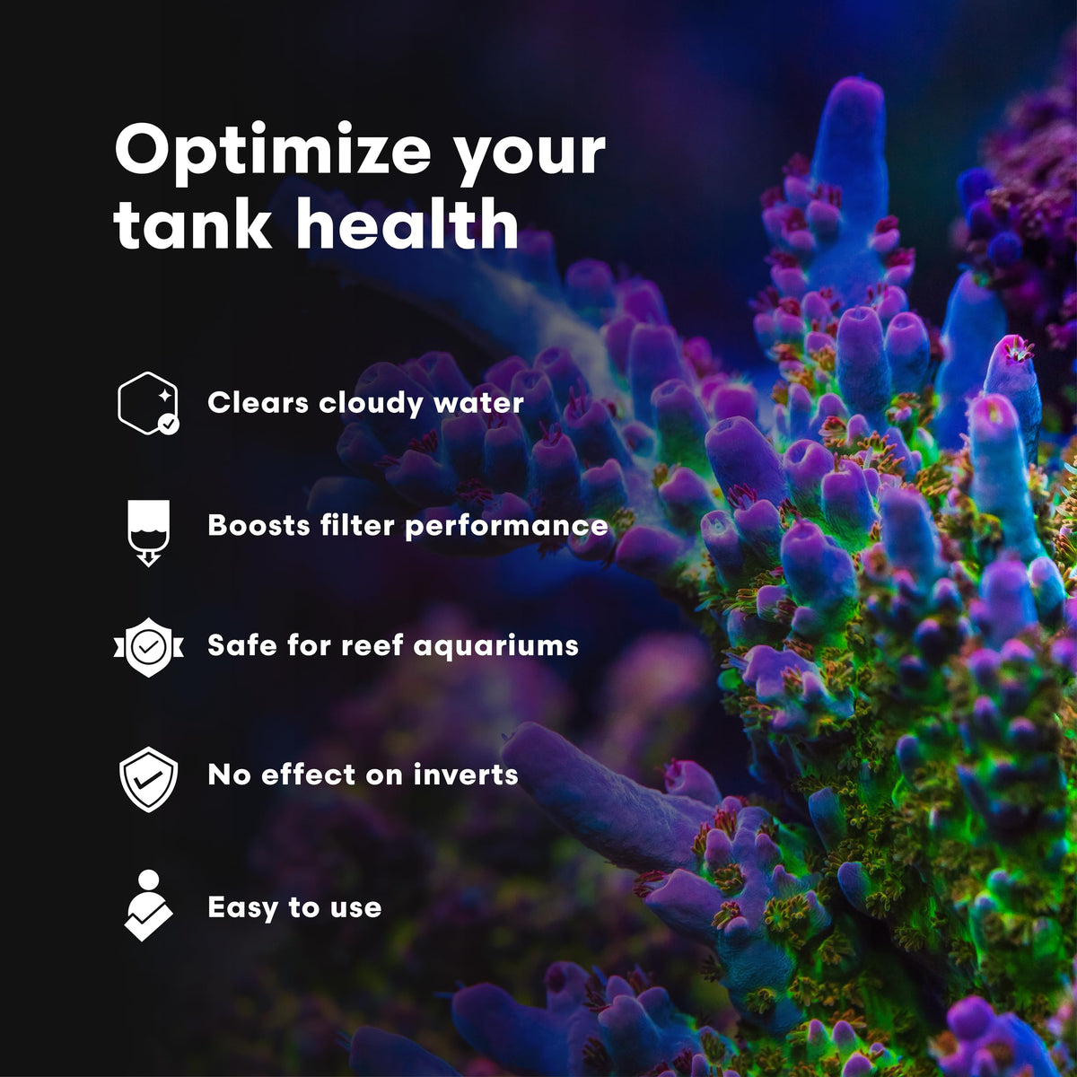 Brightwell Aquatics Clarifī-SW Marine Water Clarifier for Saltwater Aquariums Enhances Water Clarity by Removing Cloudiness with Protein Skimming and Mechanical Filtration Compatibility, 20L