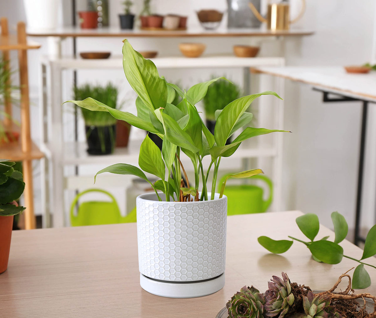 D'vine Dev Set of 2 Modern Matte White Honeycomb Embossed Ceramic Planter Pots with Saucer and Drainage Hole, 4 Inch & 6 Inch, 99-C-1-N