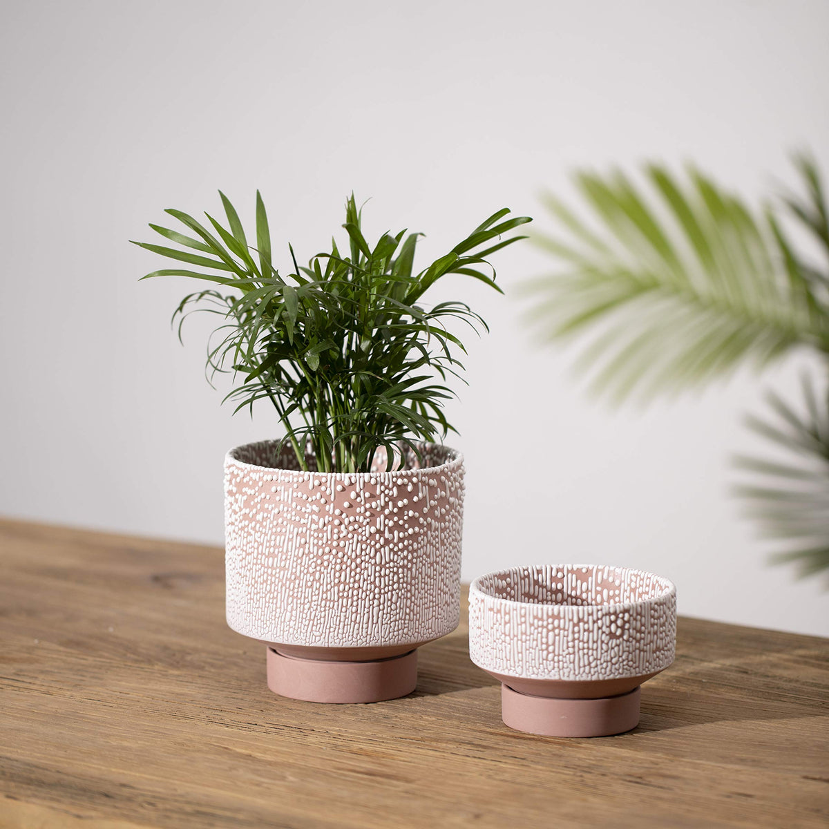 UBEE Planter Ceramic Flower Pot for Indoor Plants | 5.5 inch + 4.9 inch Plant Pot with Saucer and Drainage Hole for Aloe, Snake Plants, Pothos, Orchid, Terracotta with White Glaze Dot