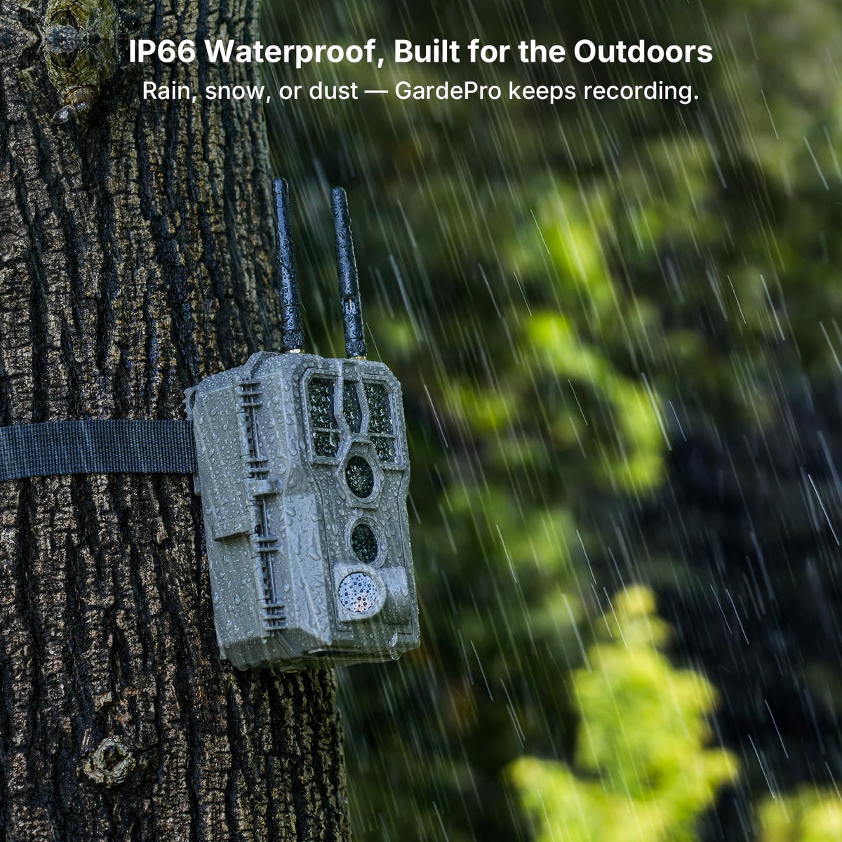 GardePro E8 2.0 Pro WiFi Trail Camera (Non-Cellular) with 10W Solar Panel SP1000, 4K Ultra HD & 64MP, Dual Antennas, 165ft Long-Range WiFi, 7800mAh Battery + 64GB SD Card, Motion Detection