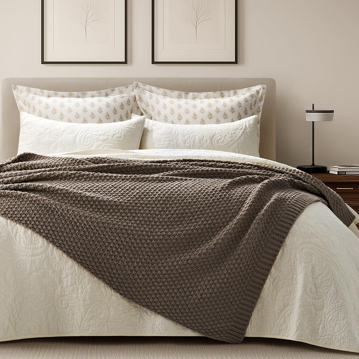 EVERGRACEHOME Chunky Chenille Knit Throw Blanket for Couch, Soft Luxurious Moss Stitch Blankets for Bed, Cozy Decorative Farmhouse Knitted Throws for Sofa, Mocha Brown, 50" x 60"