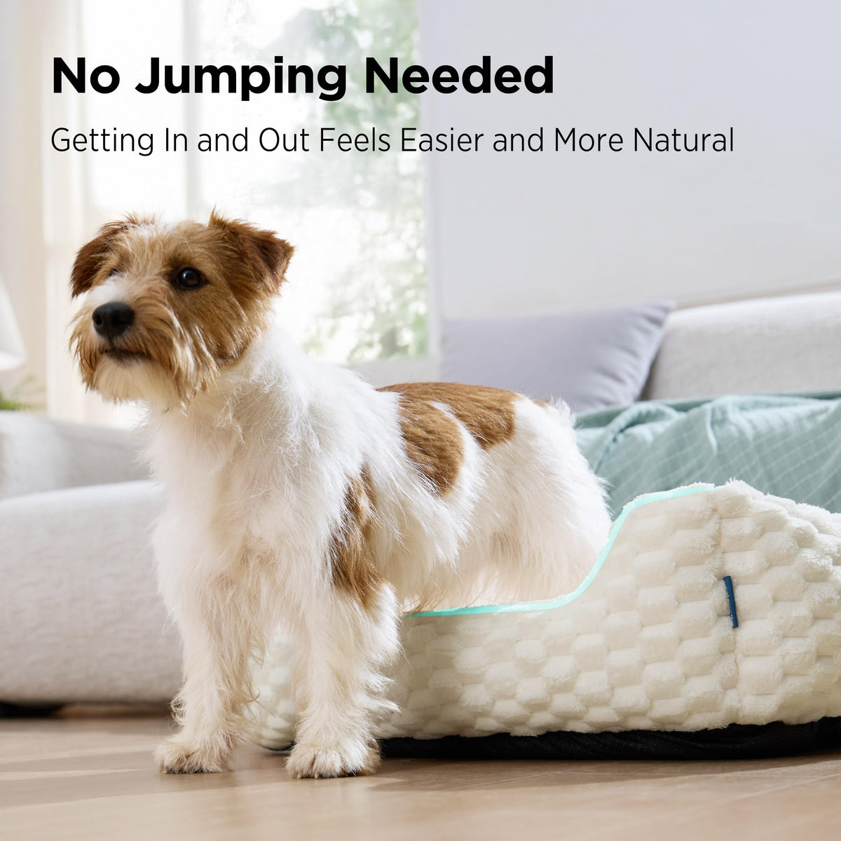 Bedsure Washable Fluffy Cute Dog Bed for Small Medium Dogs, 25 Inch Cream