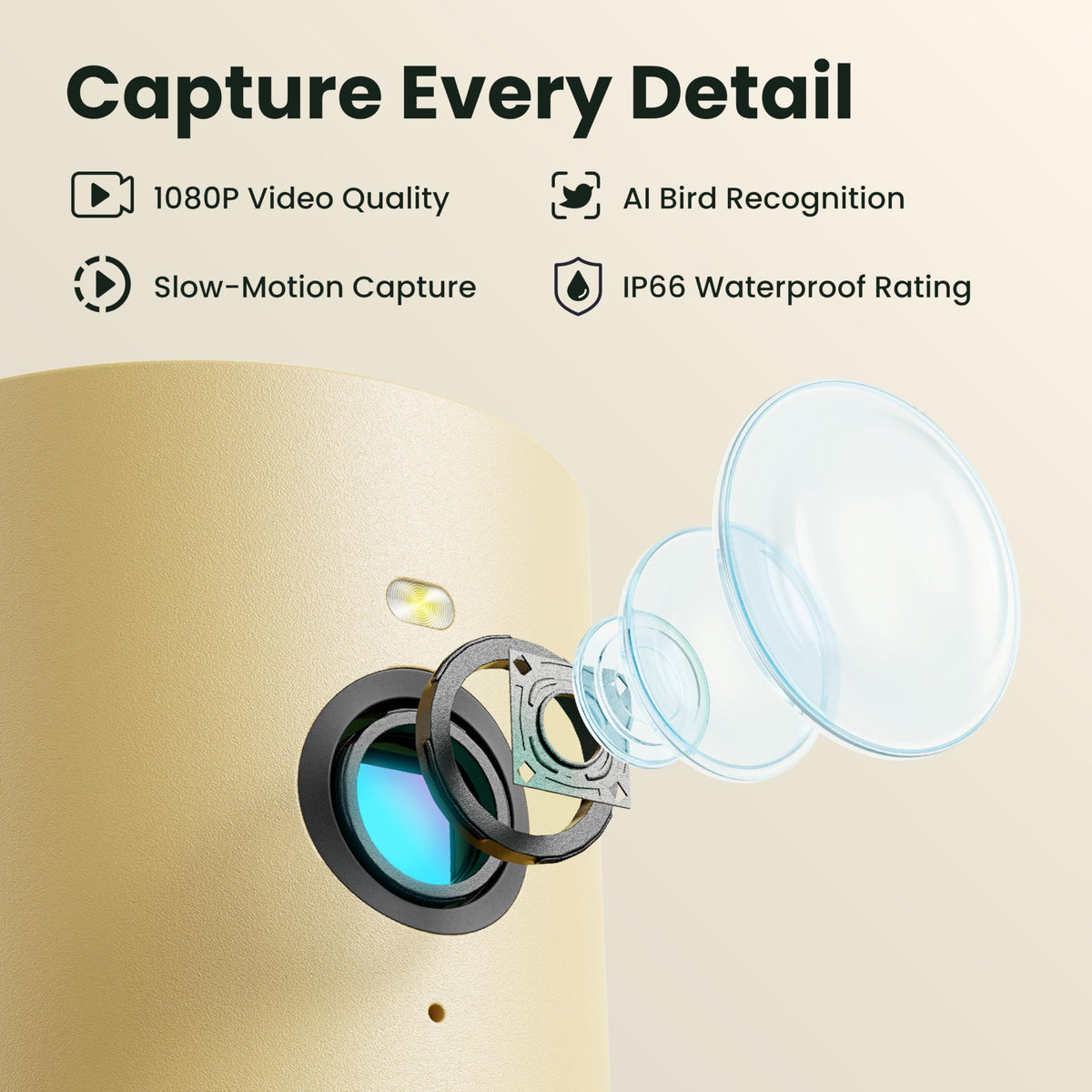 Birdfy Smart Bird Feeder with Camera Solar Powered, Slow-Motion Video & Night Insight, AI Identify 6000+ Species Lifetime Free, Ideal for Outdoors Bird Watching & Gifts for BirdLovers, Wood
