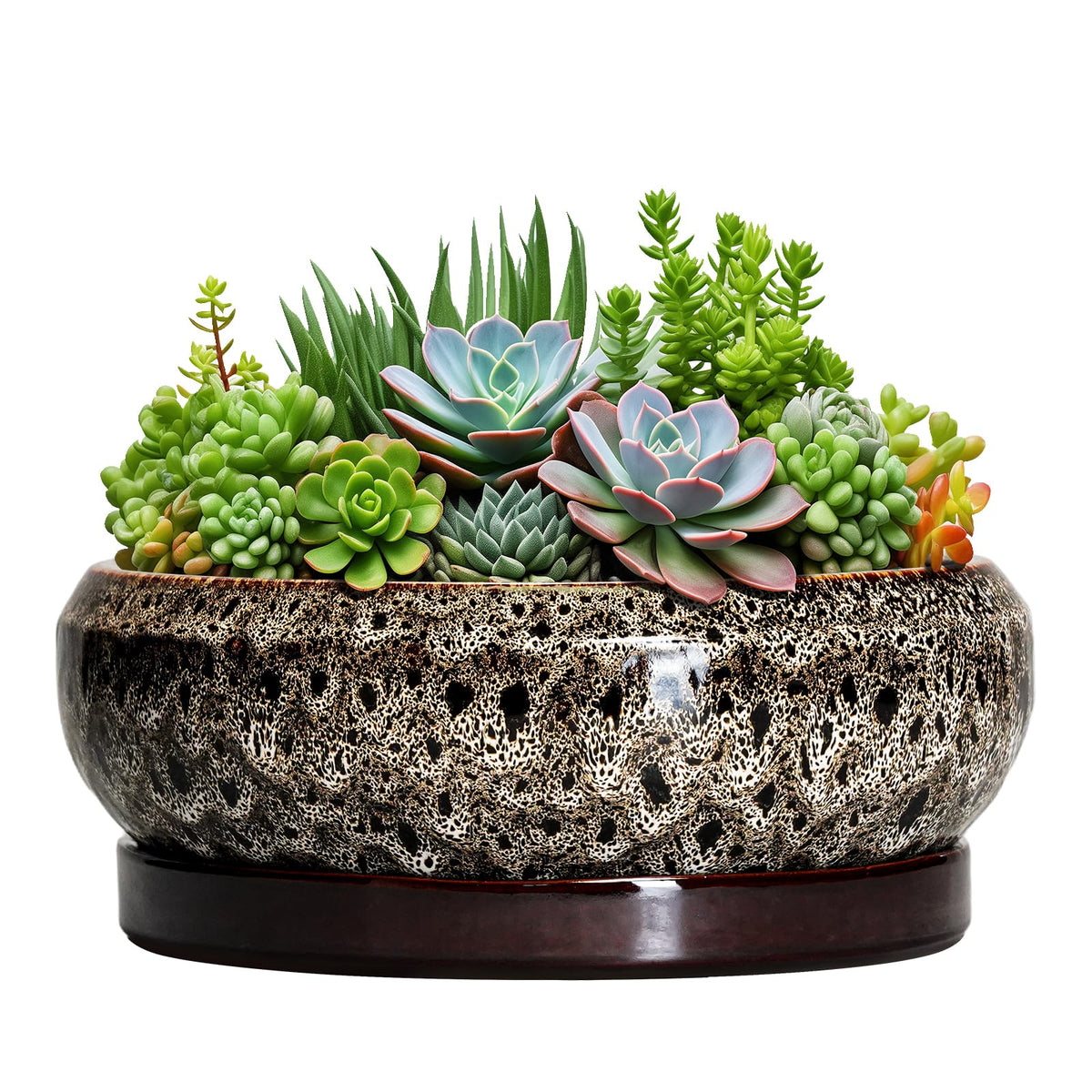 EPFamily Succulent Pots 10 Inch - Ceramic Bonsai Pots with Drainage Hole and Tray, Large Succulent Planters, Shallow Planter Indoor, Round Planter Bowl, Window Decor, Gifts for Plant Lovers, White