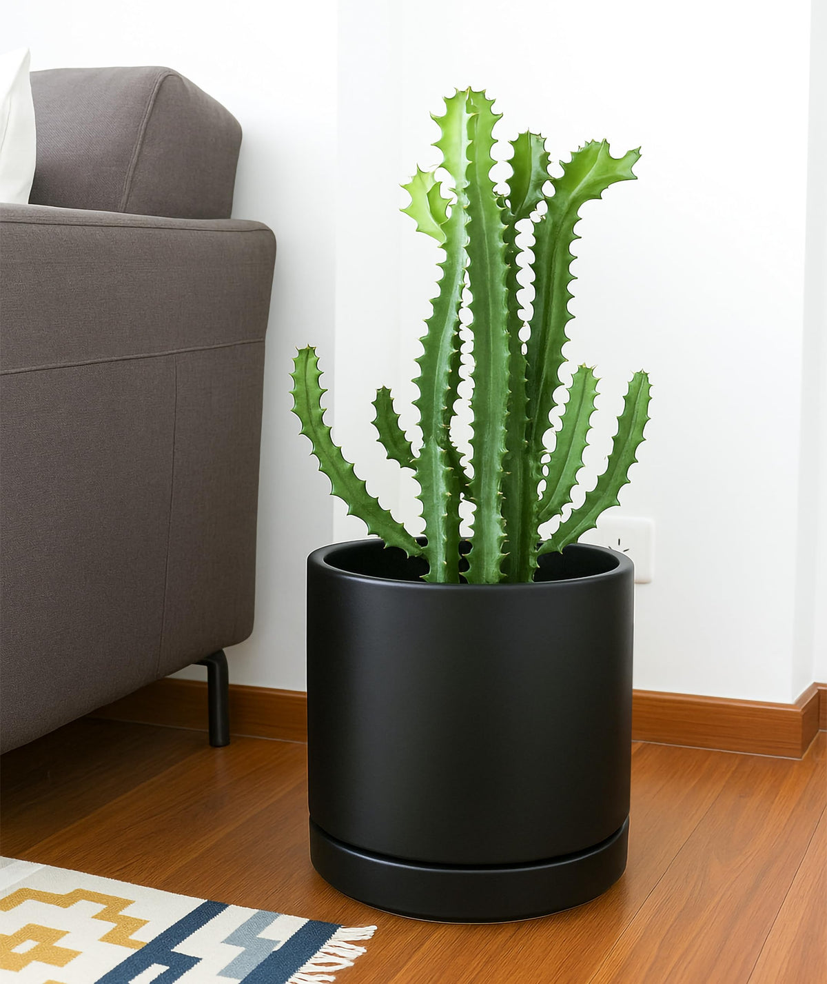 D'vine Dev Set of 2 Plants Pots, 10 Inch Ceramic Planter Pot for Plants with Drainage Hole and Saucer, Black, 94-V-E-2