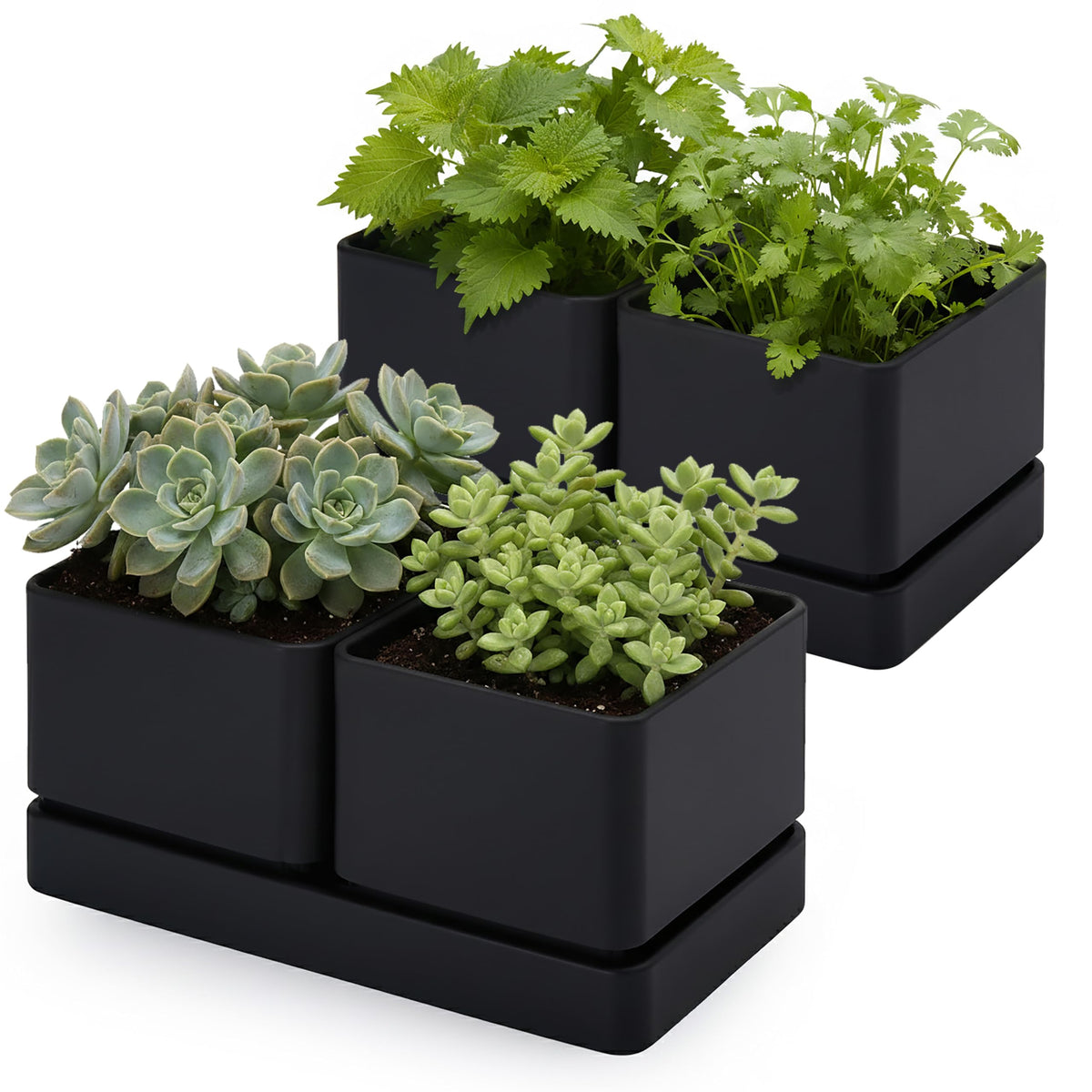 D'vine Dev Indoor Herb Garden Planter Set, Plastic Windowsill Plant Pots with Drainage and Saucer, Indoor Succulent Cactus Vegetable Pot for Balcony, Office, Garden, Black, Set of 2, 76-Q-B-2