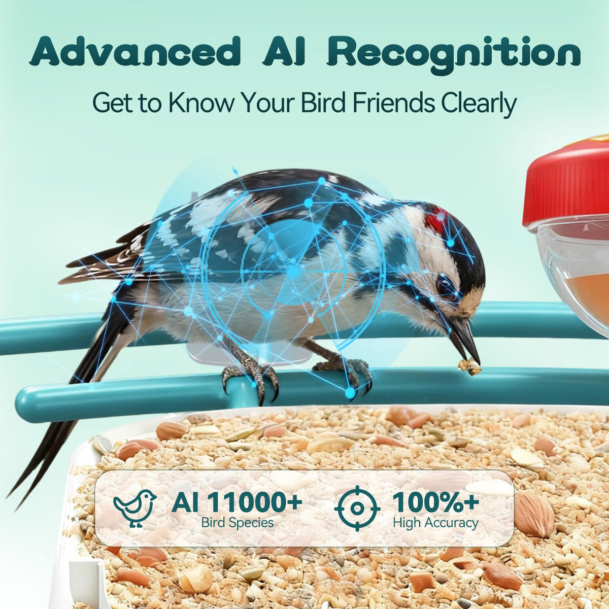 BROAIMX Smart Bird Feeder with Camera-AI Identify 11,000+ Species, 2K HD Auto Capture Birds Video & 64G TF Card, Solar-Powered Wireless Outdoor Design, Birdhouse with Built-in Two-Way Microphone