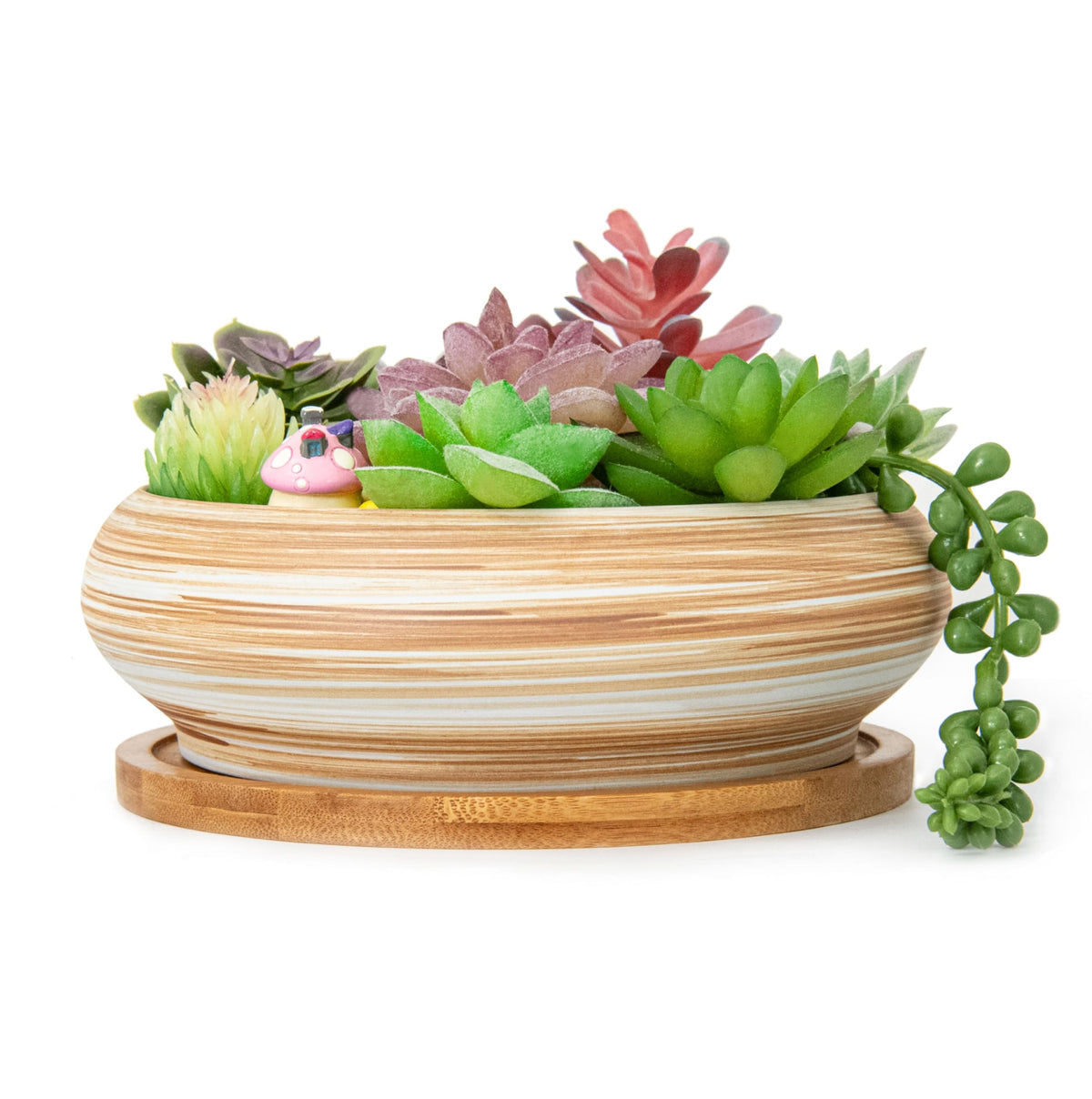 ARTKETTY Succulent Pots - Ceramic Bonsai Pots with Drainage Tray, 7.3 Inch Large Plant Pots Shallow Succulent Planters for Indoor Plants Decorative Cactus Flower Planter Bowl