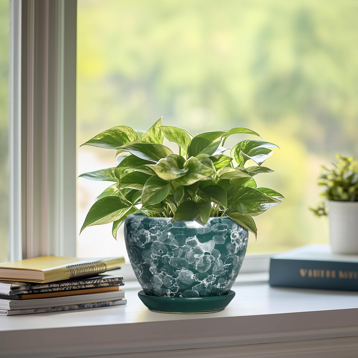 Thirtypot 6 Inch Planter - Ceramic Plant Pots Indoor with Drainage Hole and Saucer, Indoor Plant Pots for Flowers Plants, Round Modern Small Planter, Bedroom Decor, Plants Lover Gift, Bubble Green